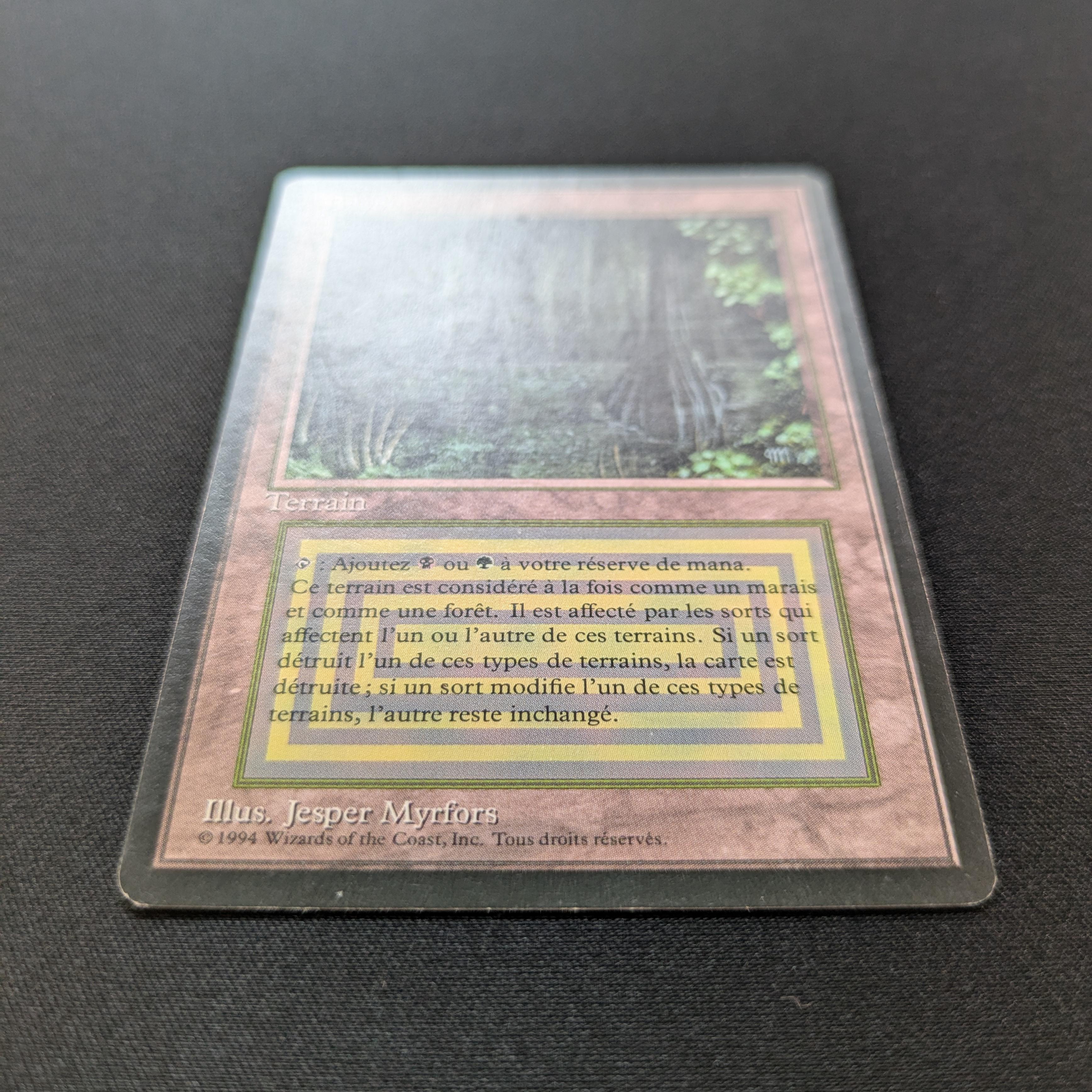 MTG Singles - Bayou - Foreign Black Bordered -