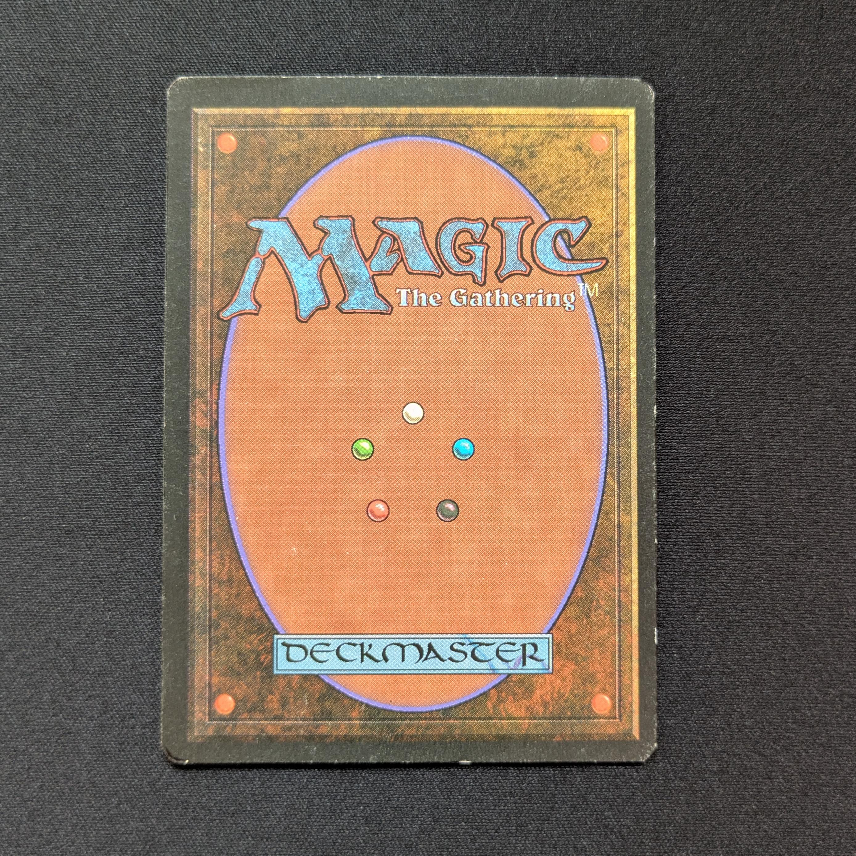 MTG Singles - Bayou - Foreign Black Bordered -