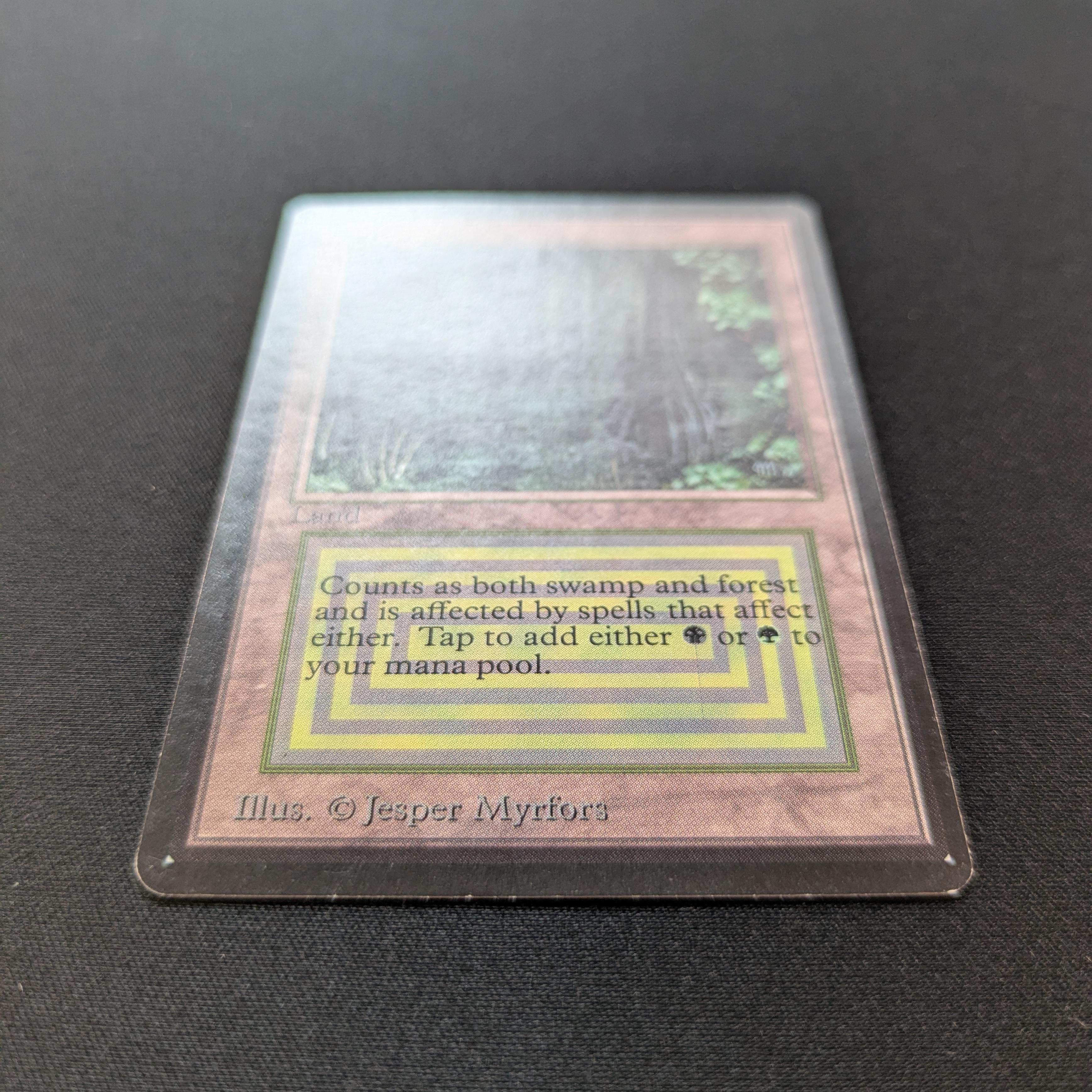 MTG Singles - Bayou - Beta -