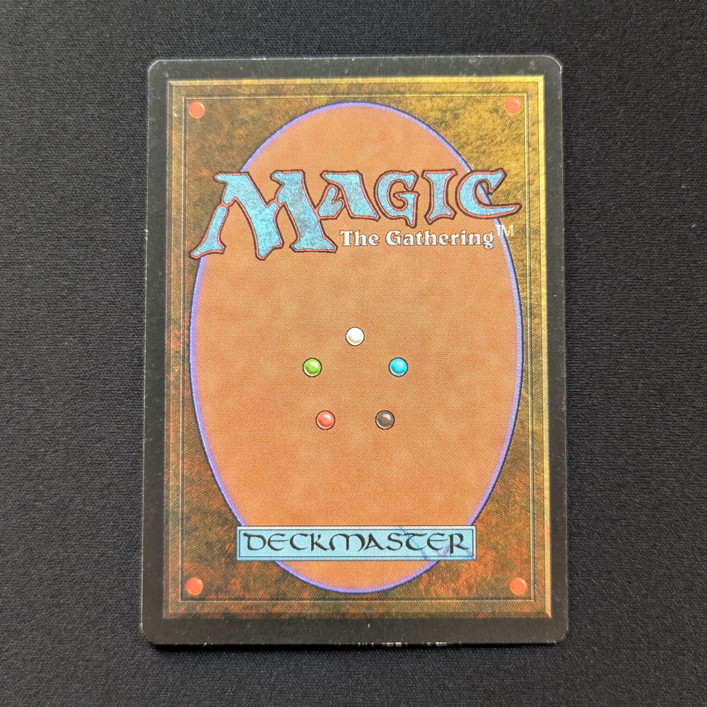 MTG Singles - Savannah - Foreign Black Bordered -