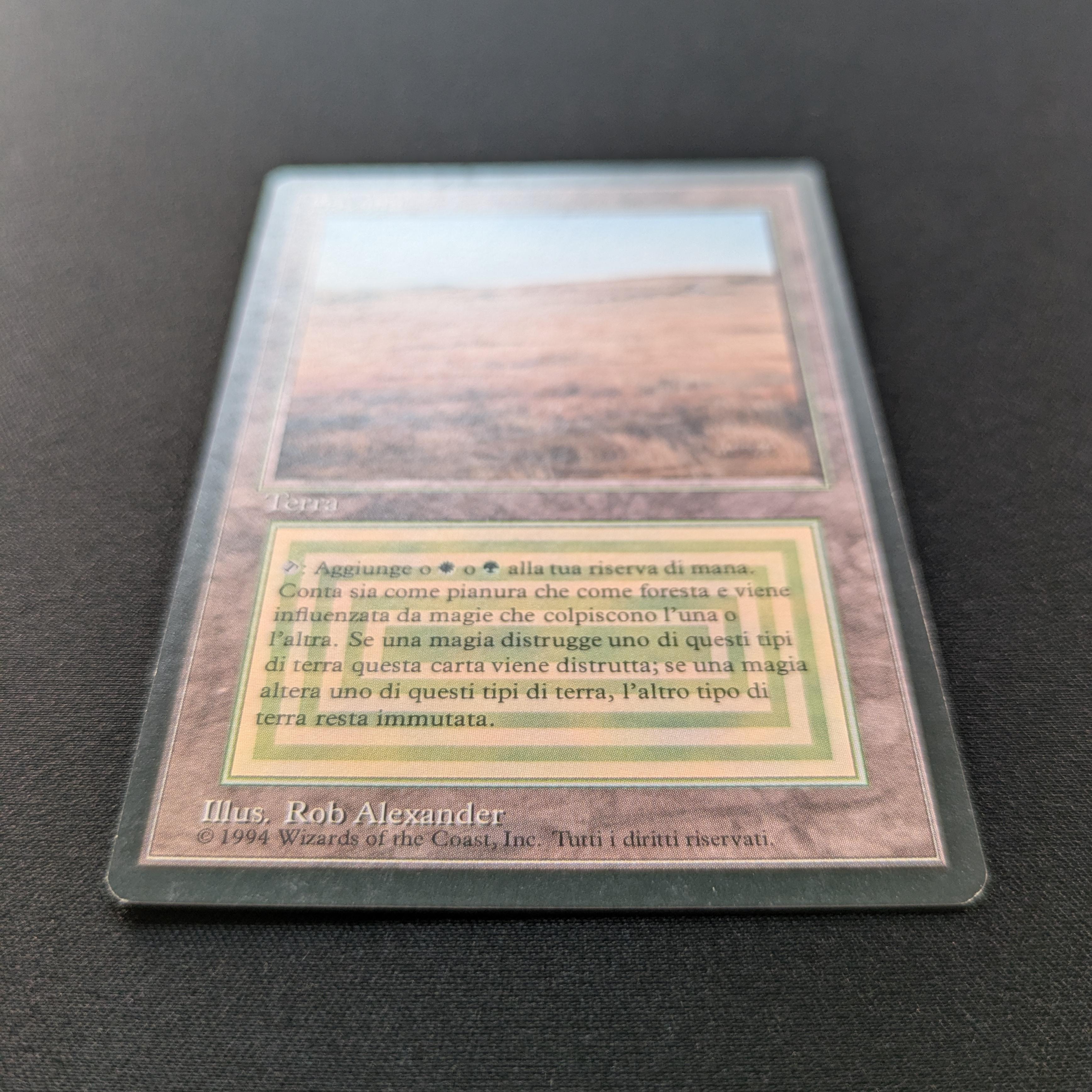 MTG Singles - Savannah - Foreign Black Bordered -