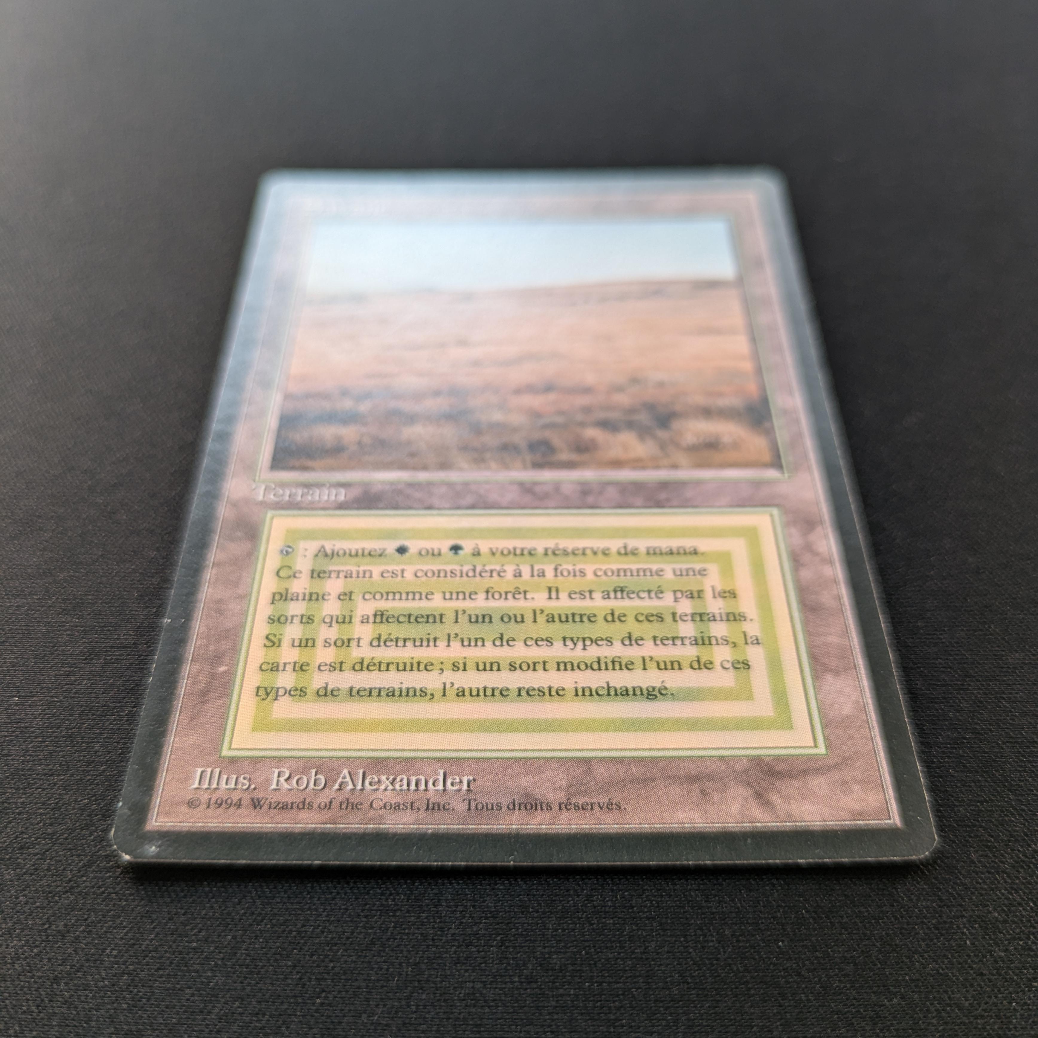 MTG Singles - Savannah - Foreign Black Bordered -