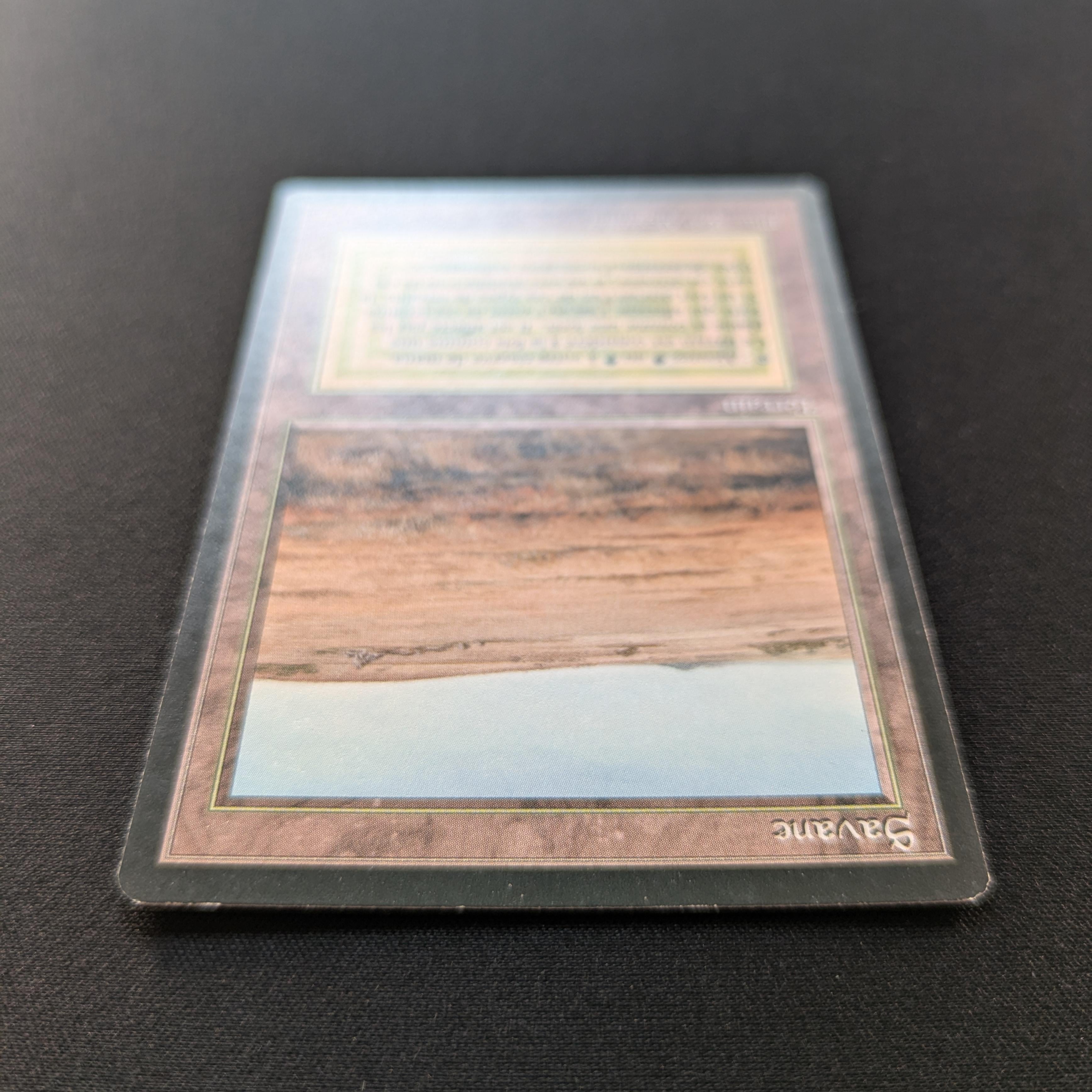 MTG Singles - Savannah - Foreign Black Bordered -
