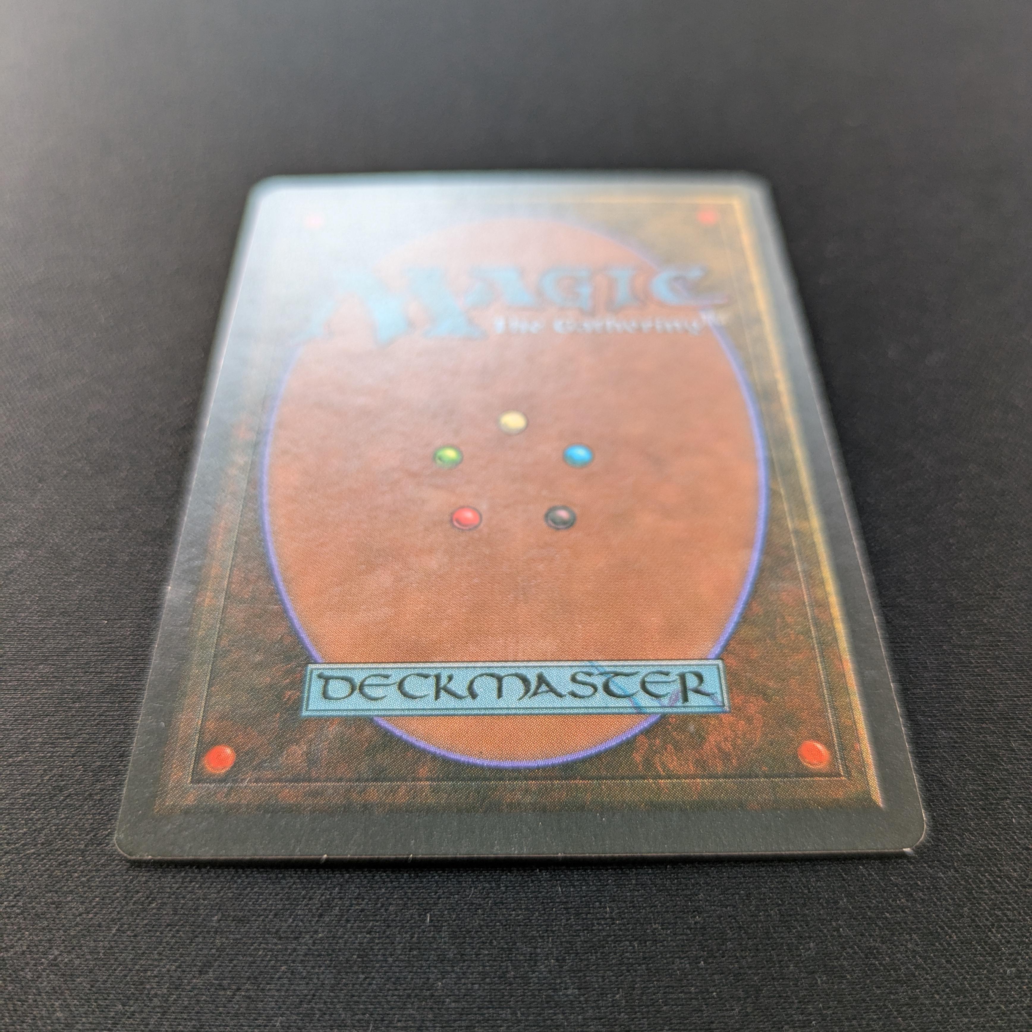 MTG Singles - Savannah - Foreign Black Bordered -