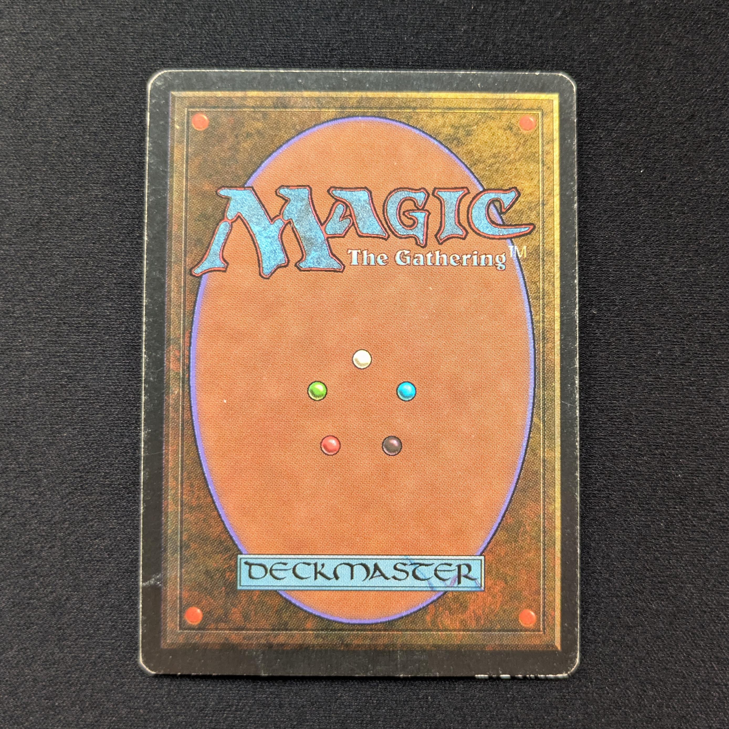 MTG Singles - Savannah - Foreign Black Bordered -