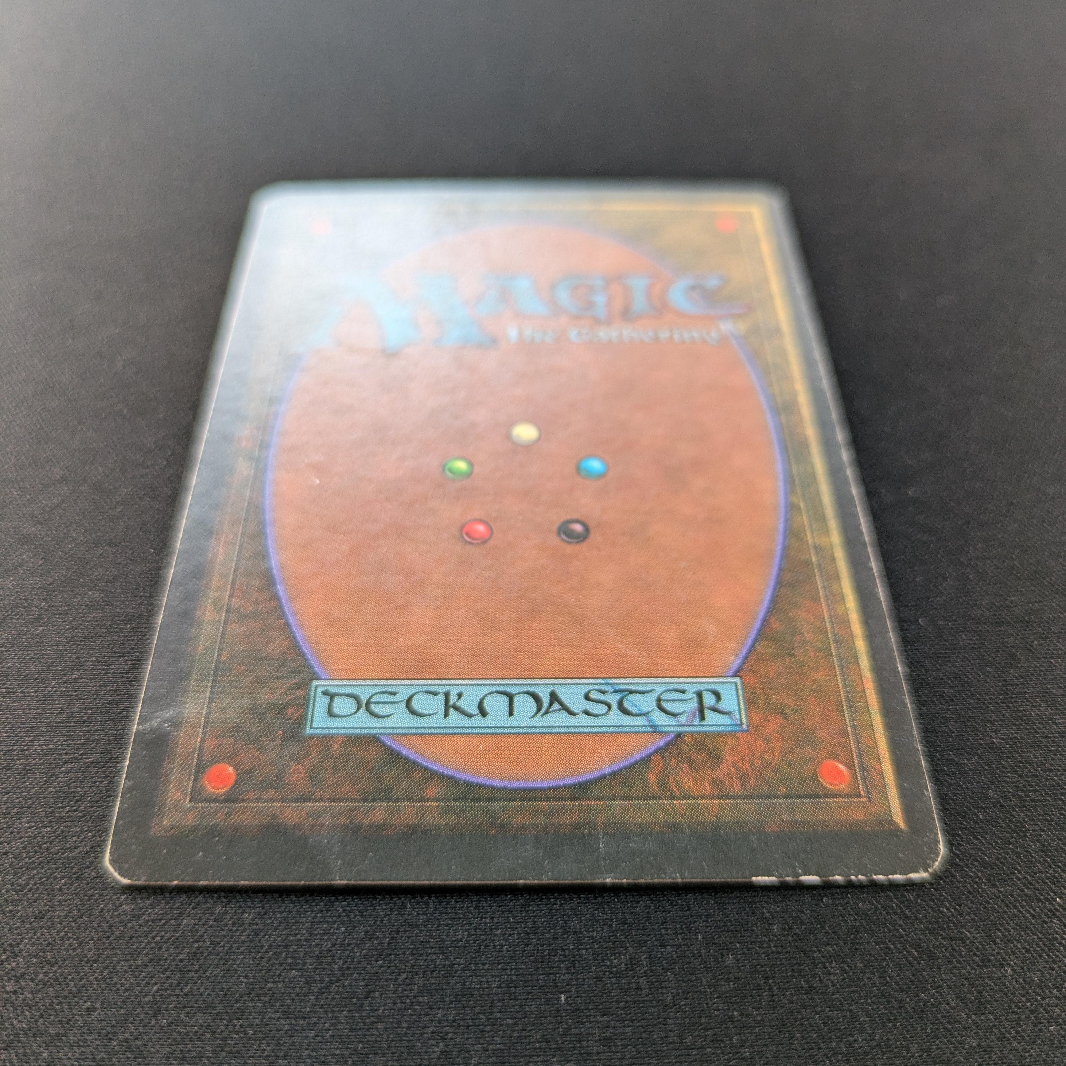 MTG Singles - Savannah - Foreign Black Bordered -