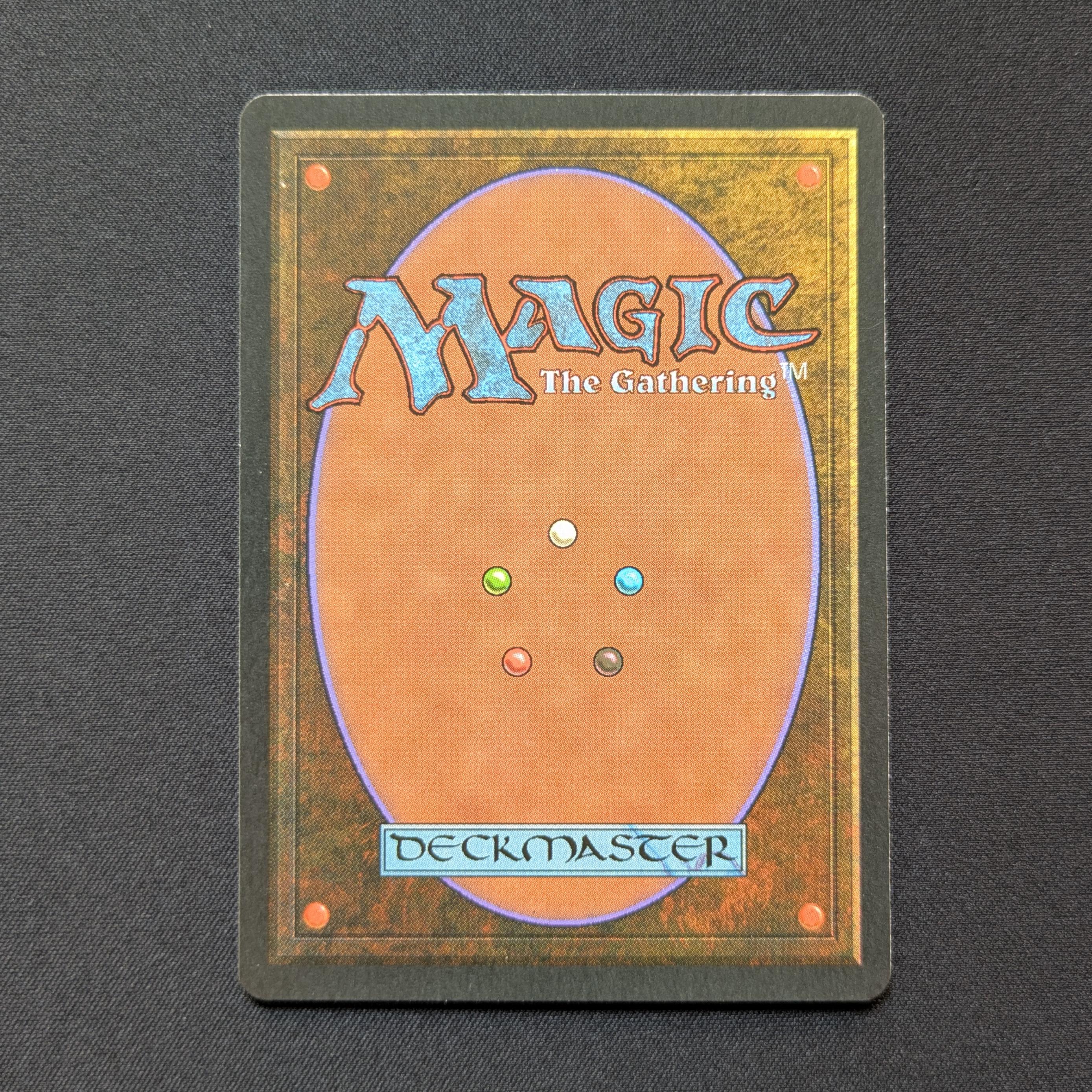 MTG Singles - Bayou - Foreign Black Bordered -