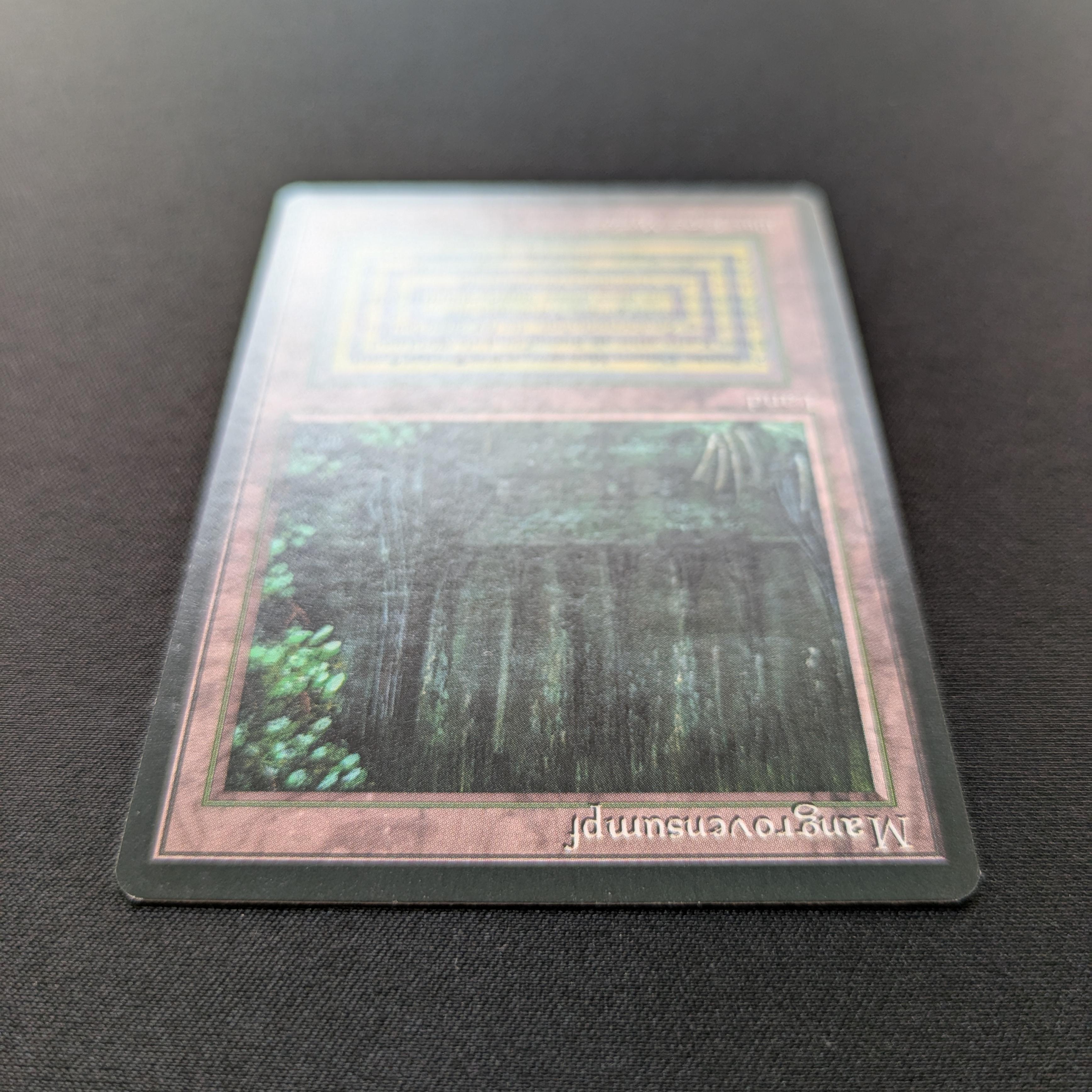 MTG Singles - Bayou - Foreign Black Bordered -