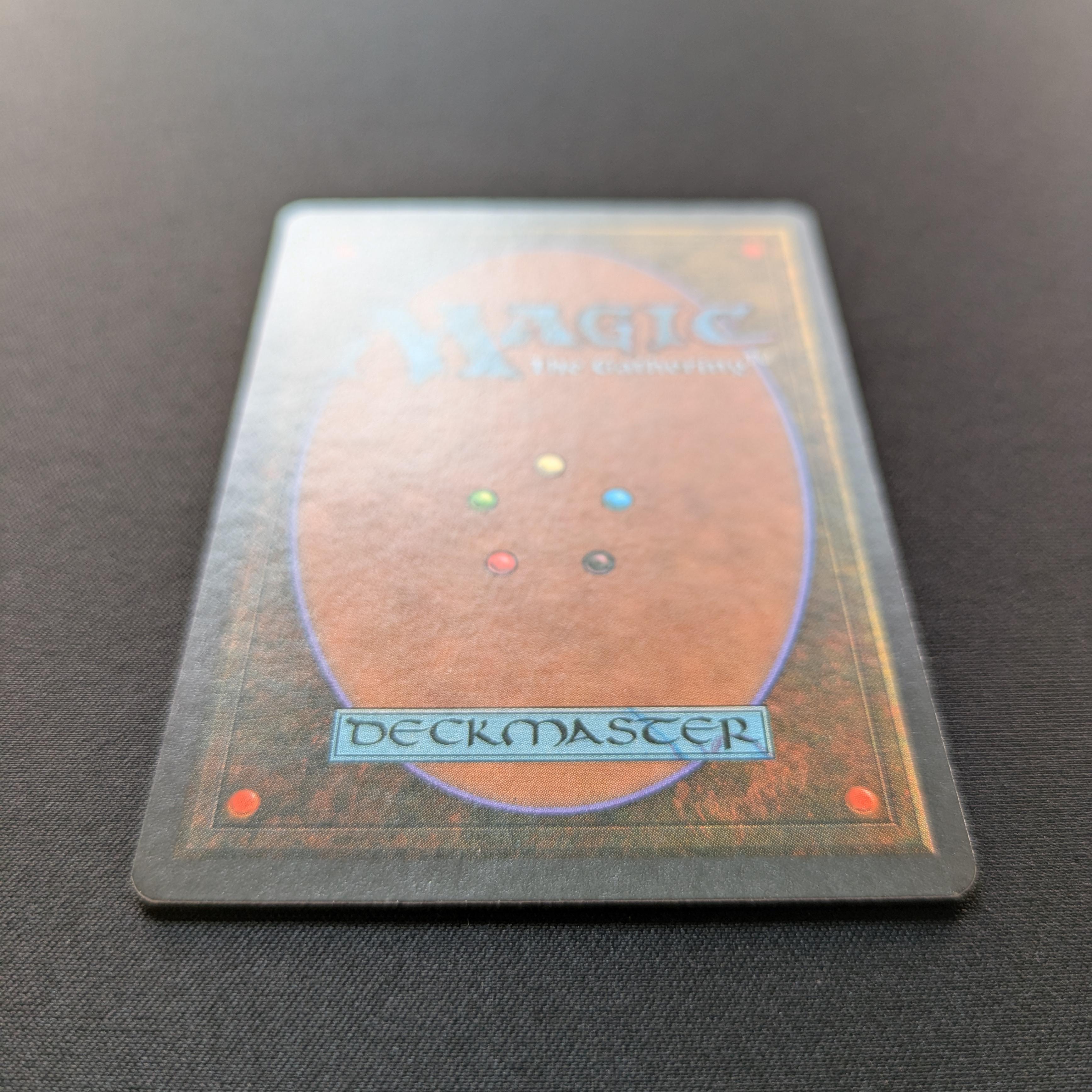 MTG Singles - Bayou - Foreign Black Bordered -