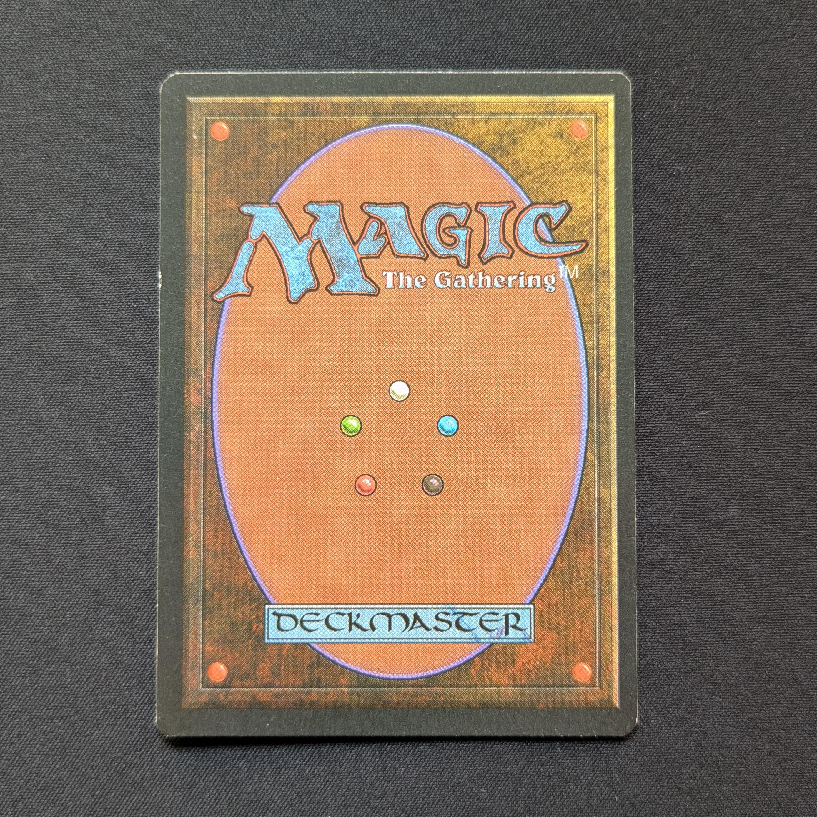 MTG Singles - Savannah - Foreign Black Bordered -