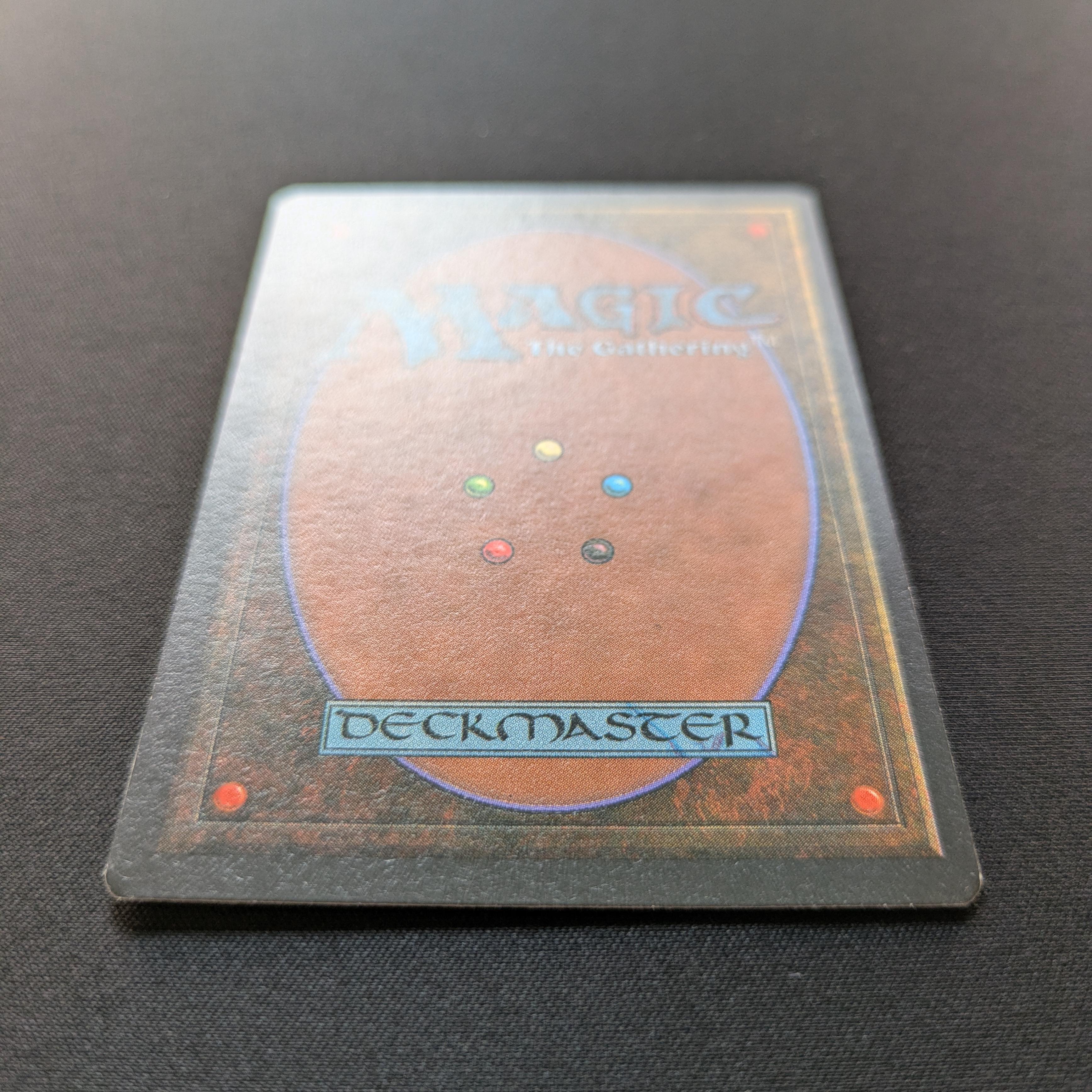 MTG Singles - Savannah - Foreign Black Bordered -