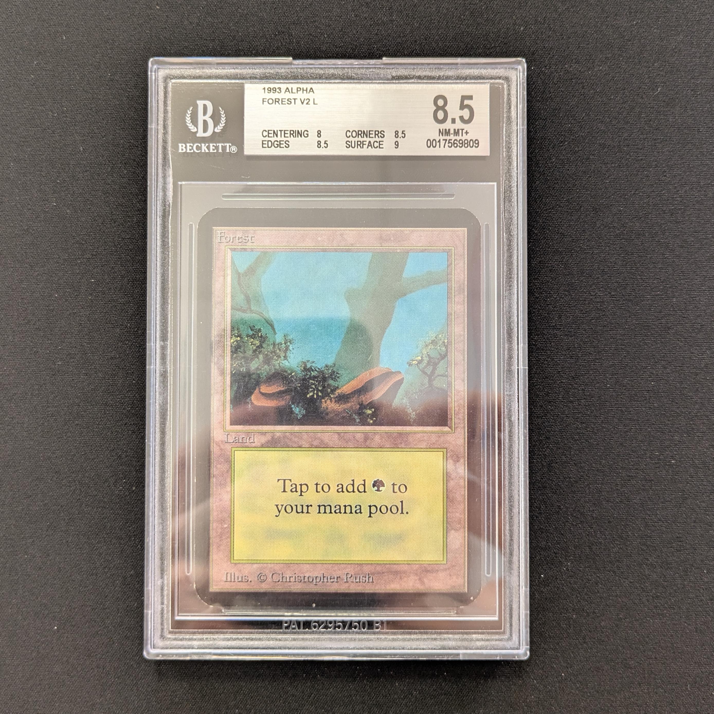 MTG Singles - Forest (V.2) - Alpha - BGS 8.5 -