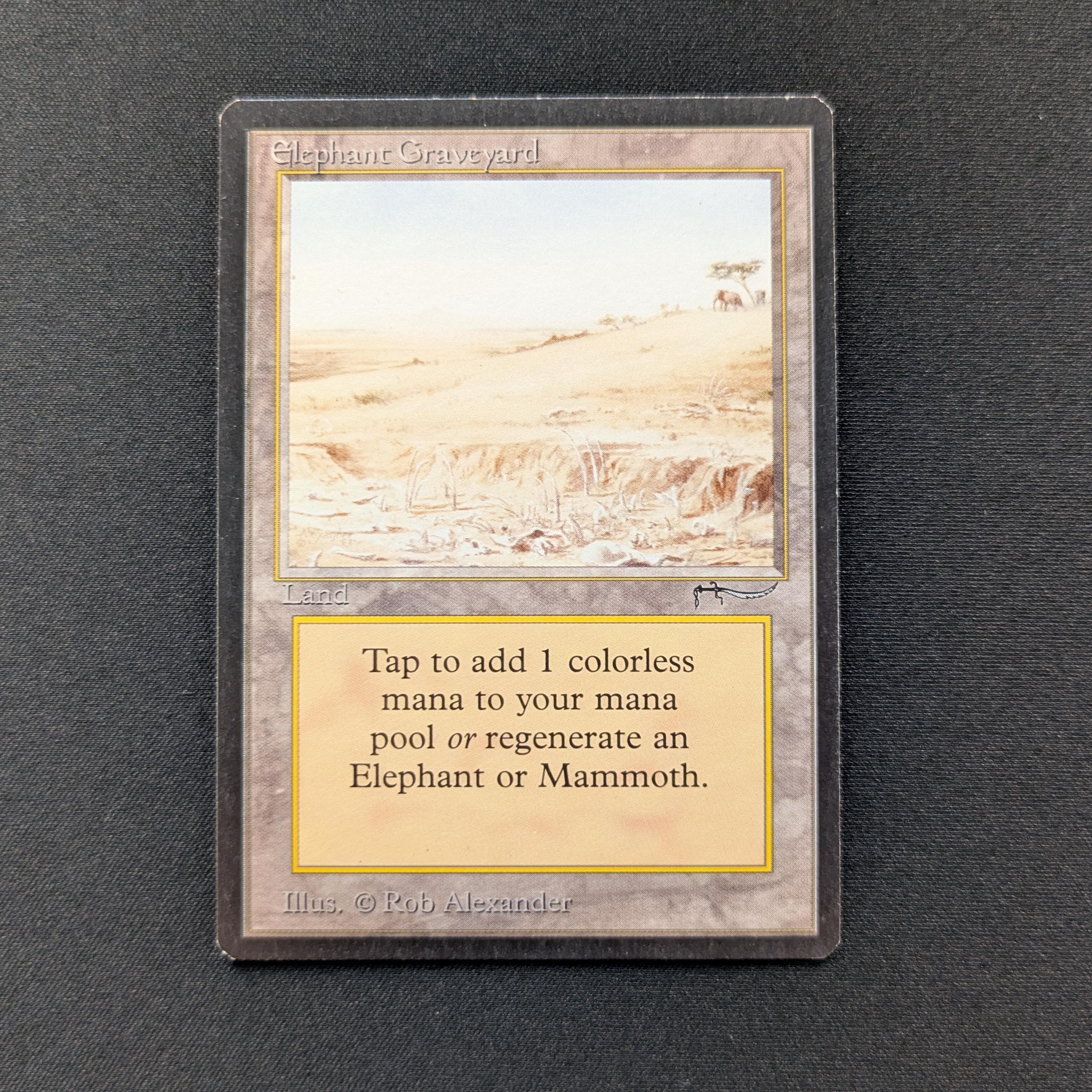 MTG Singles - Elephant Graveyard - Arabian Nights - GD - 28993