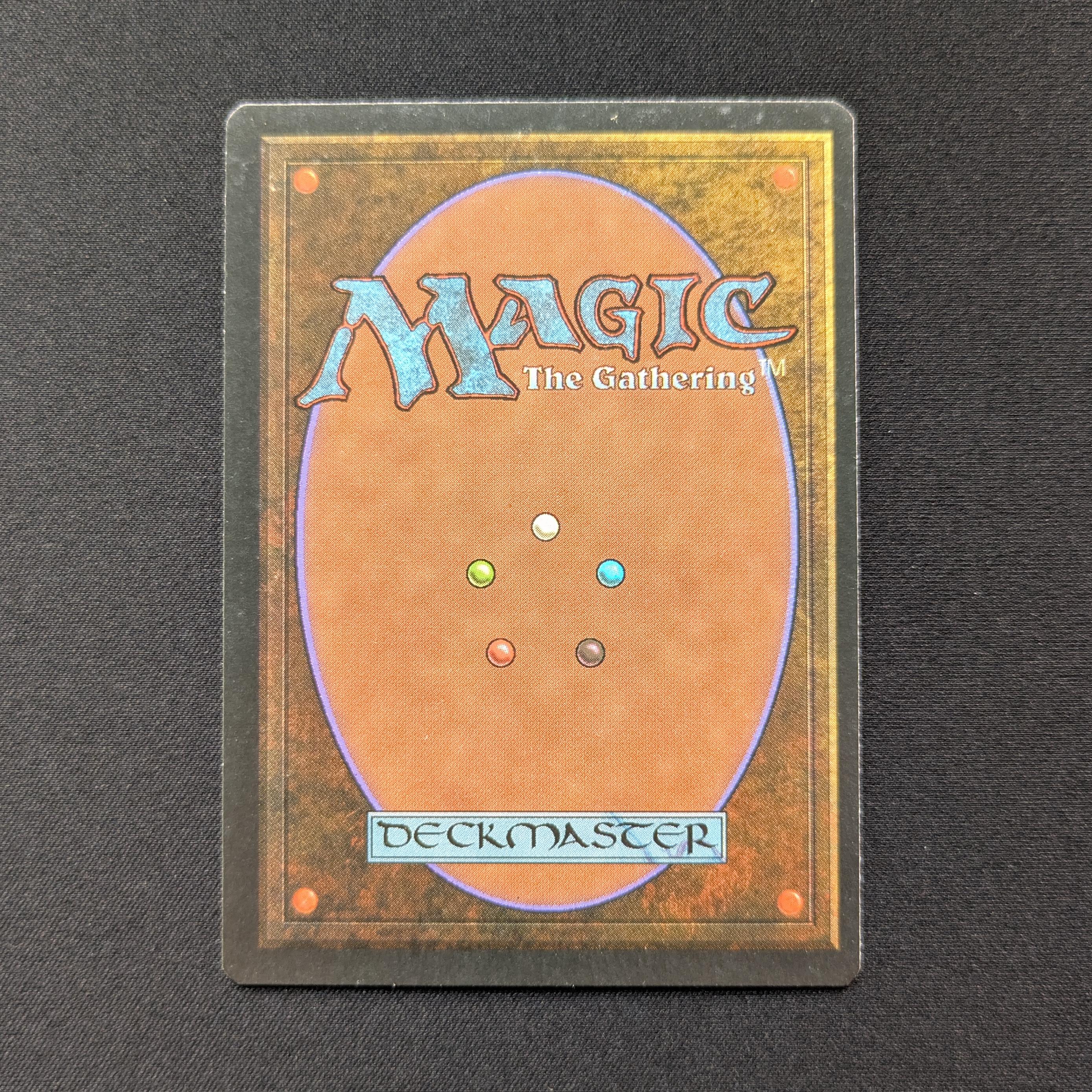 MTG Singles - Bayou - Foreign White Bordered -
