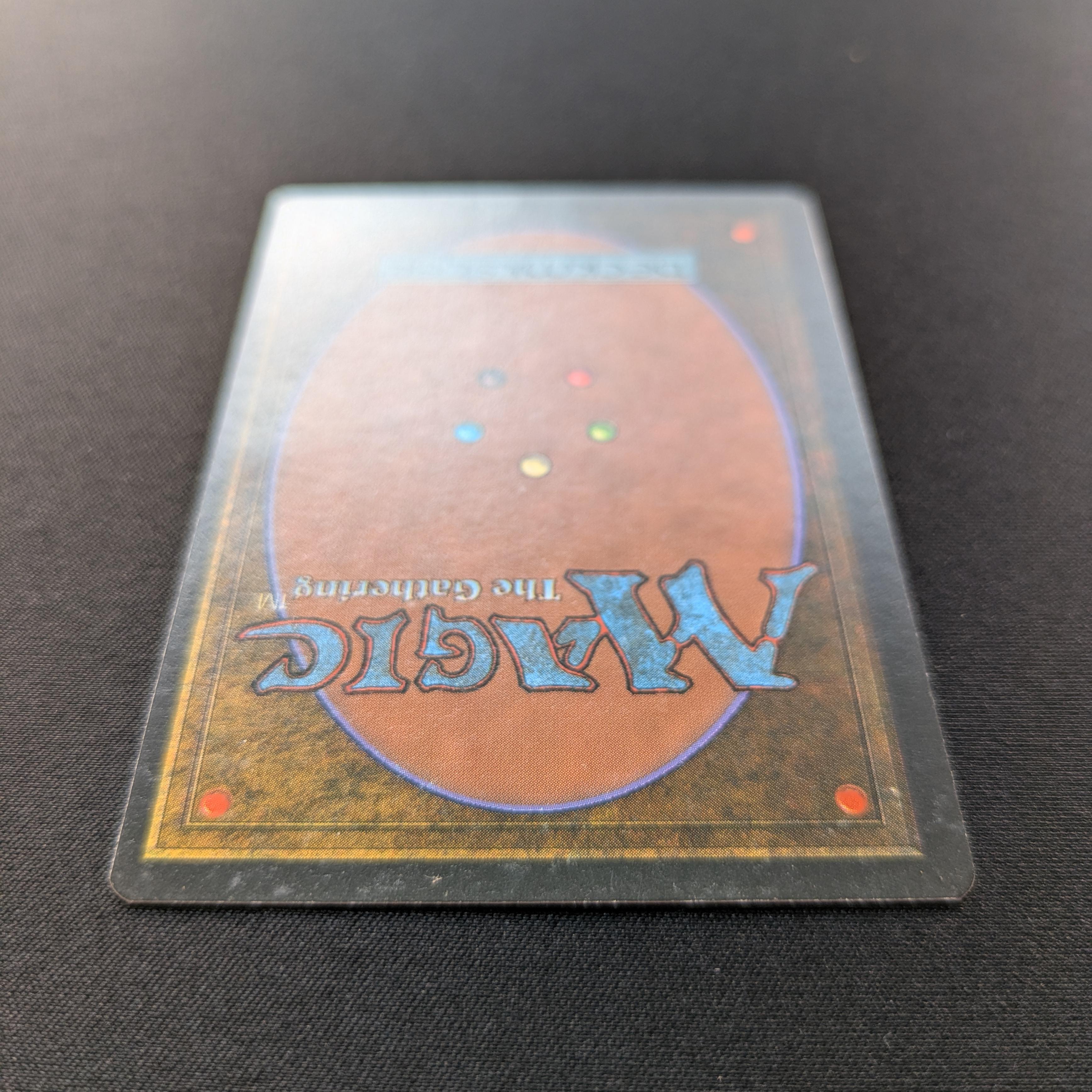 MTG Singles - Bayou - Foreign White Bordered -