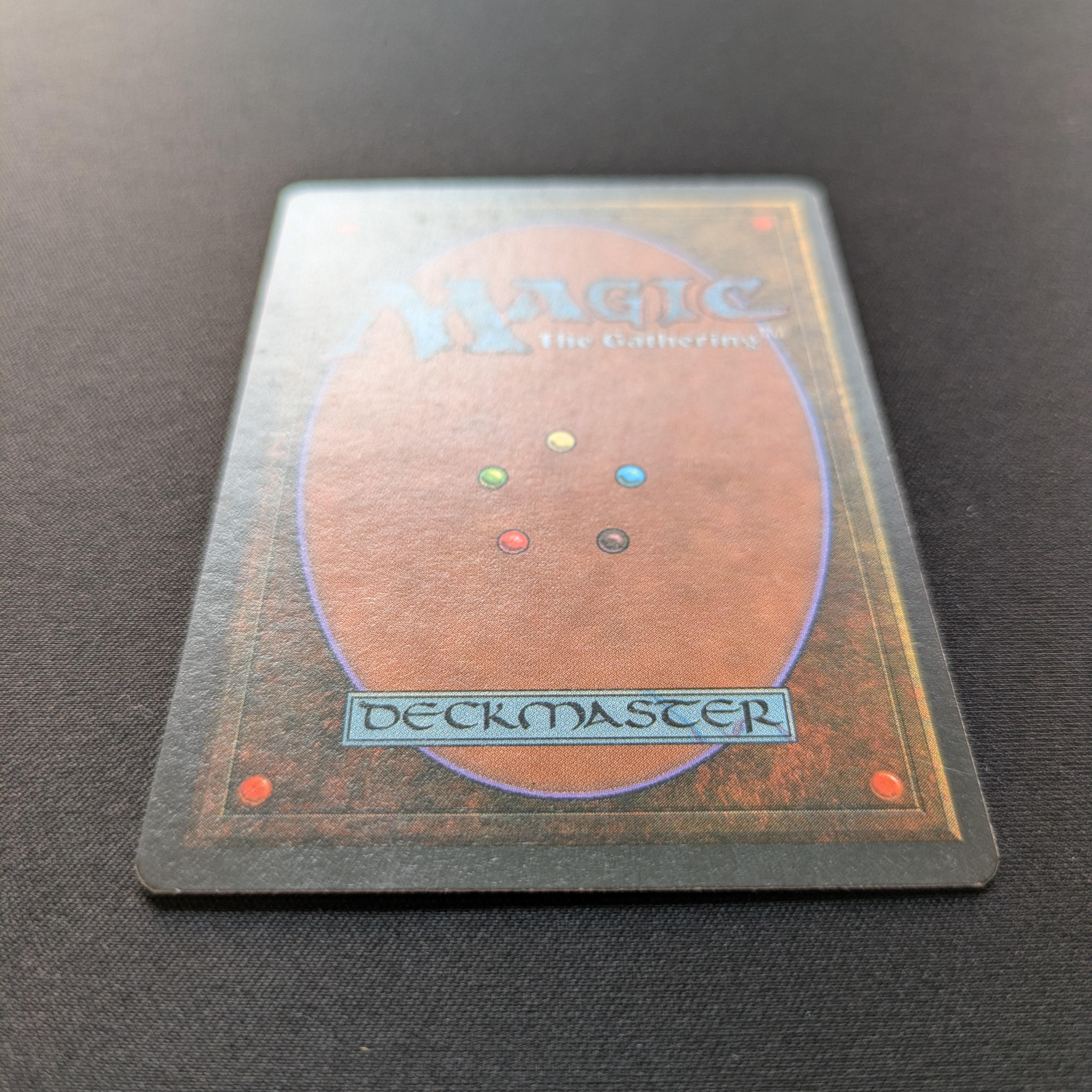 MTG Singles - Taiga - Foreign White Bordered -