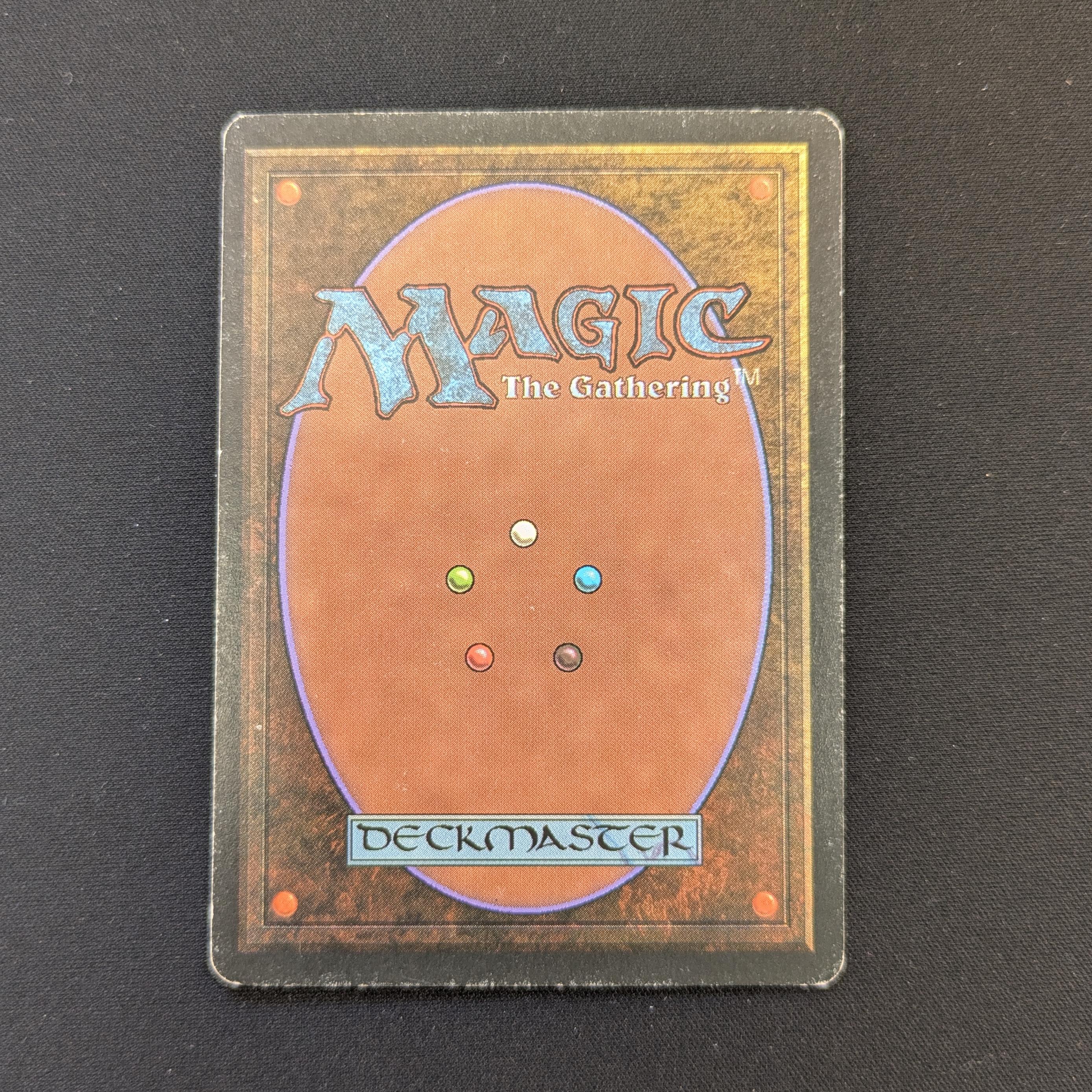MTG Singles - Bayou - Foreign White Bordered -