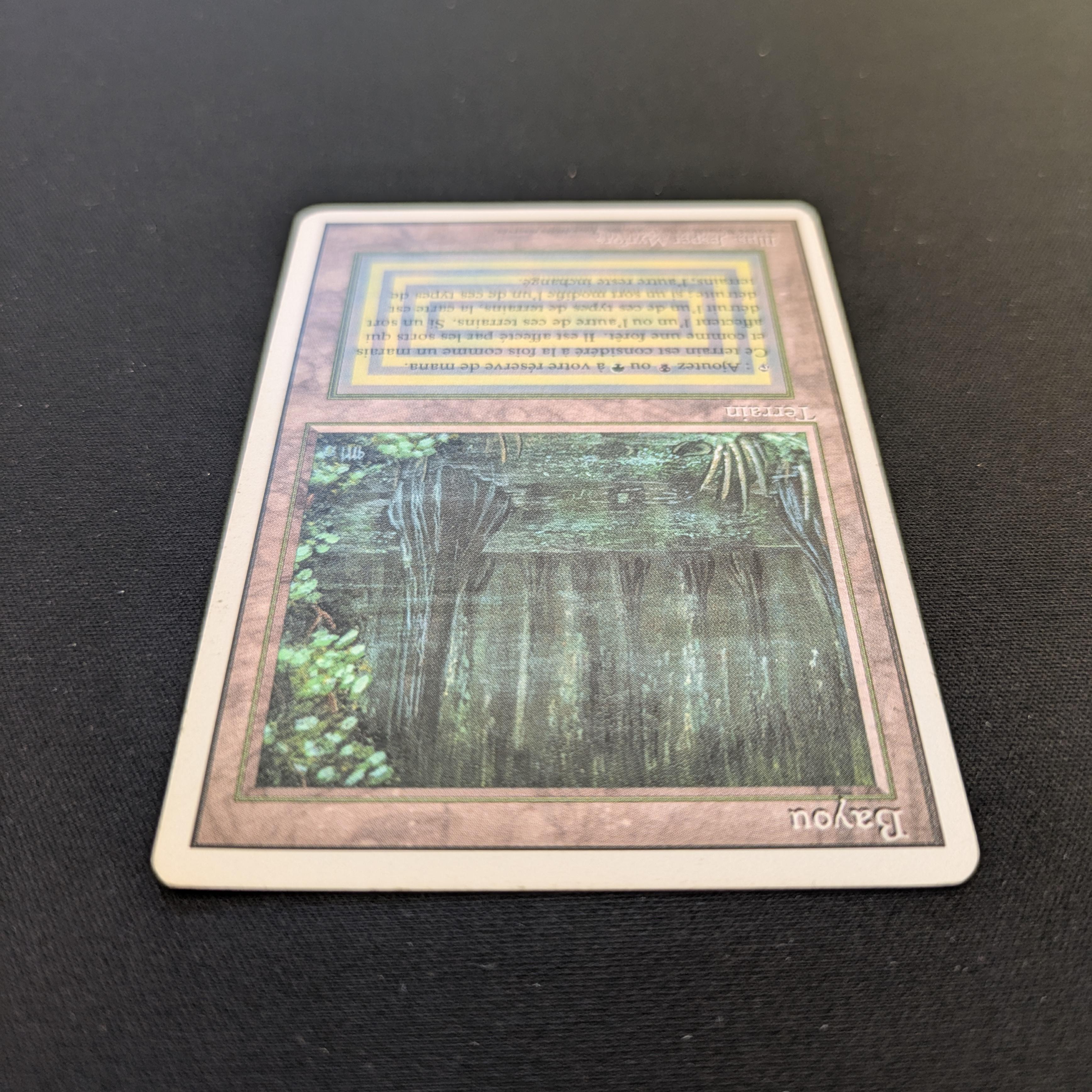 MTG Singles - Bayou - Foreign White Bordered -