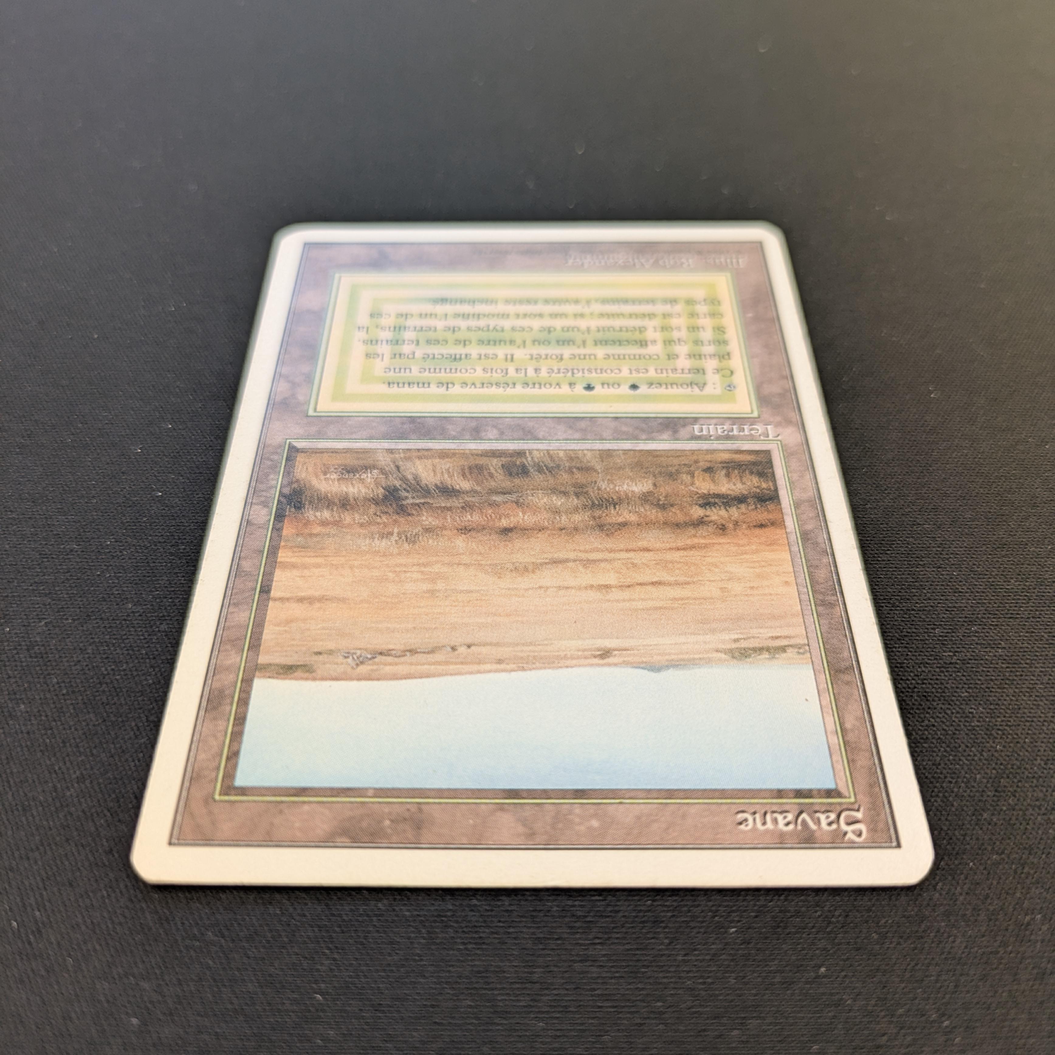 MTG Singles - Savannah - Foreign White Bordered -