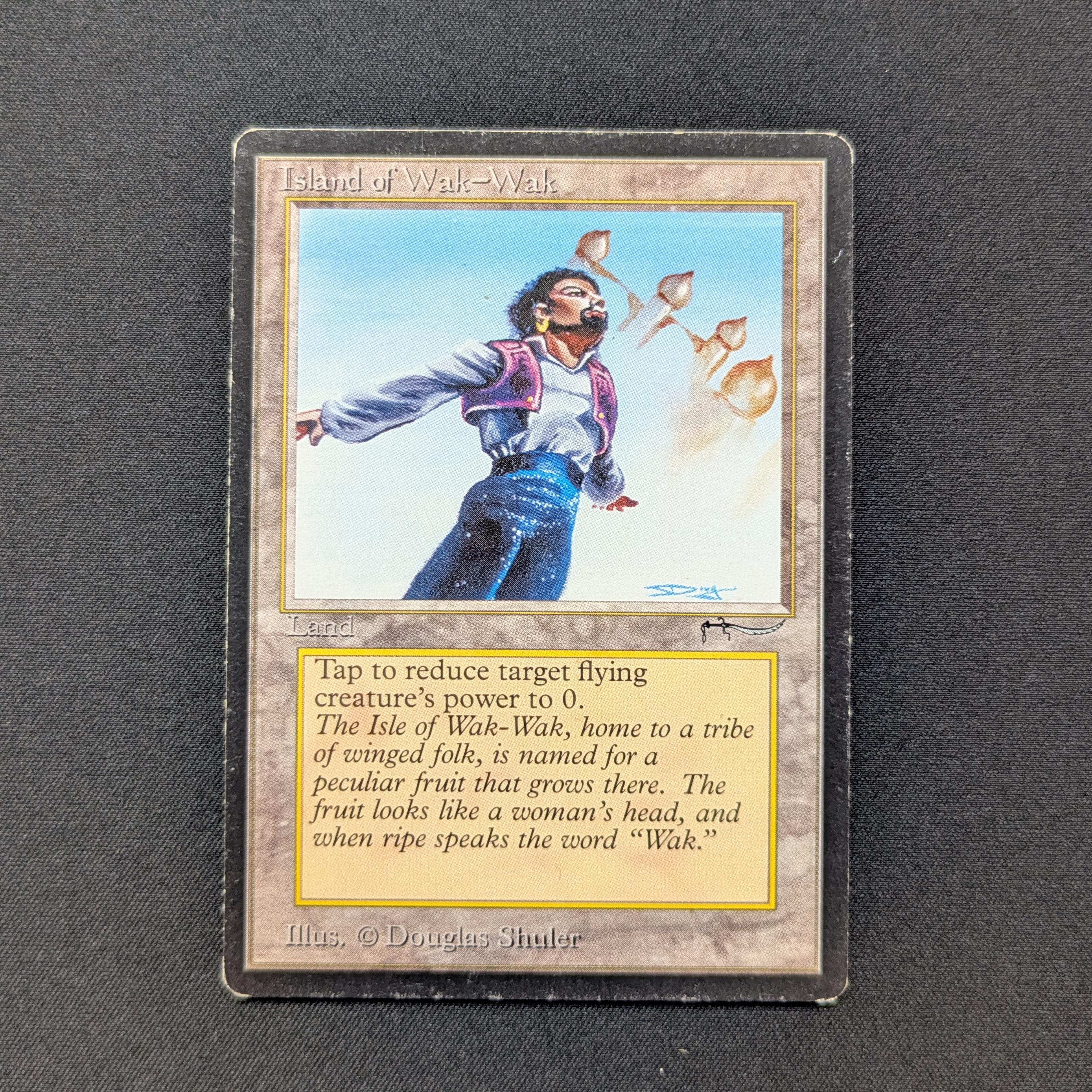 MTG Singles - Island of Wak-Wak - Arabian Nights -