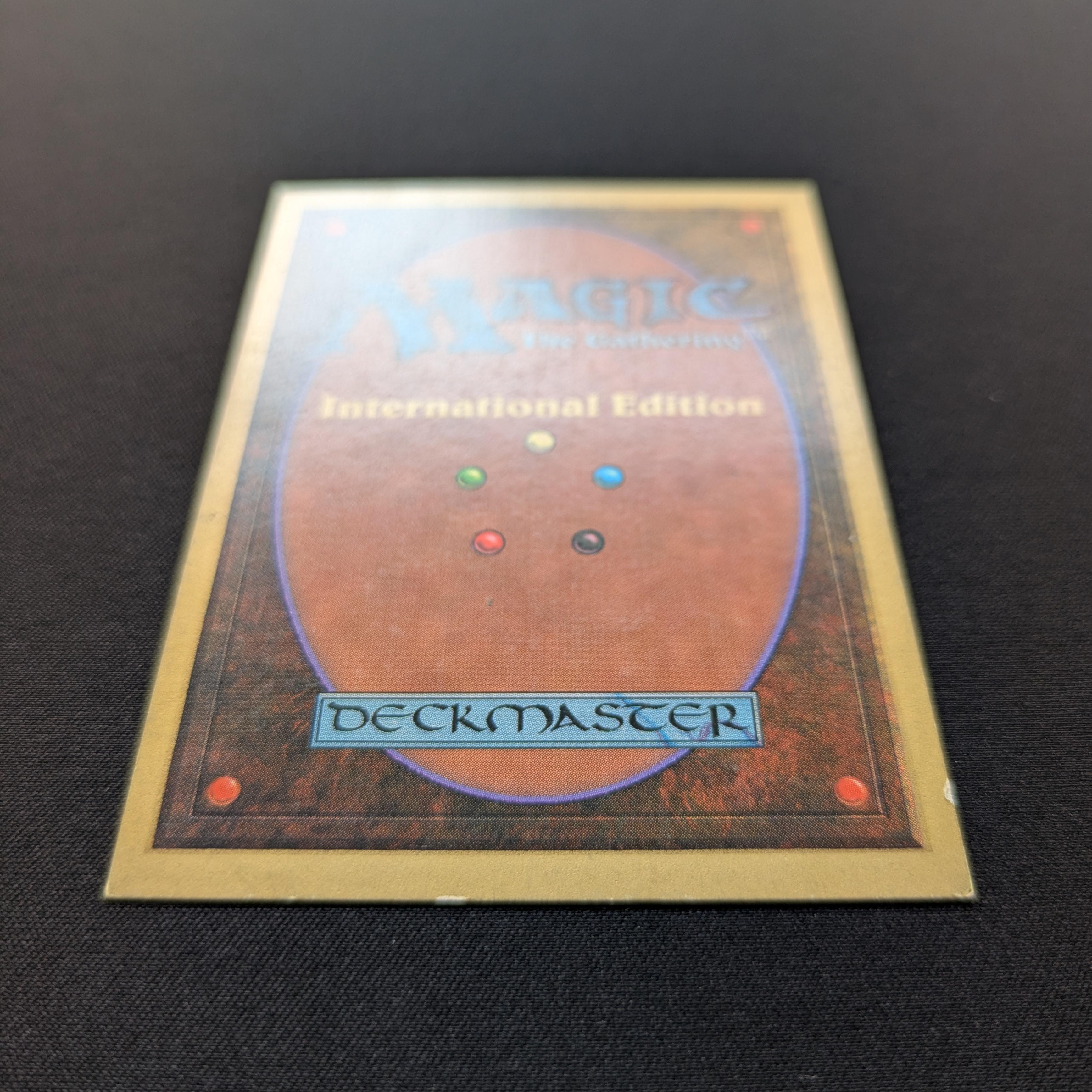 MTG Singles - Bayou - International Edition -