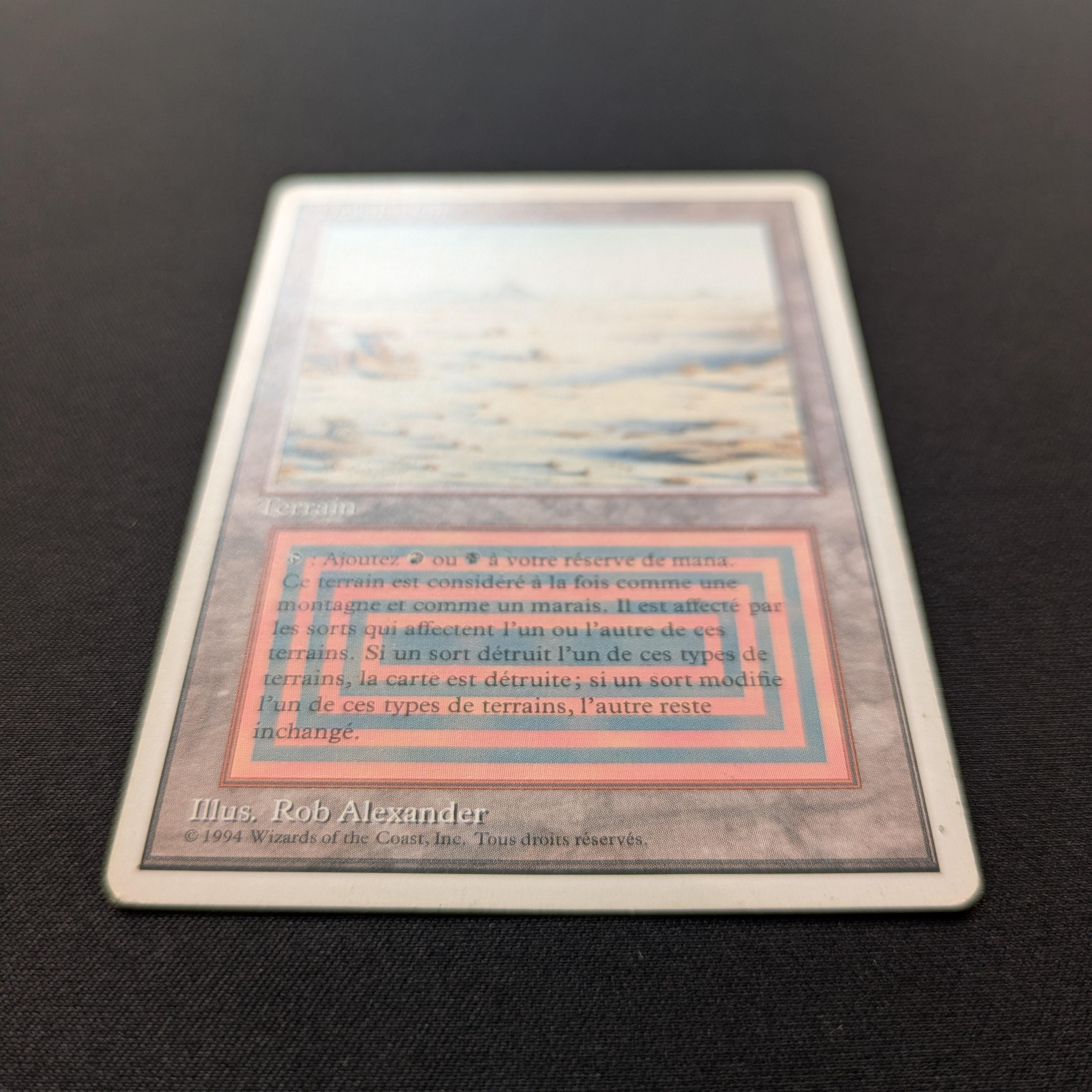 MTG Singles - Badlands - Foreign White Bordered -