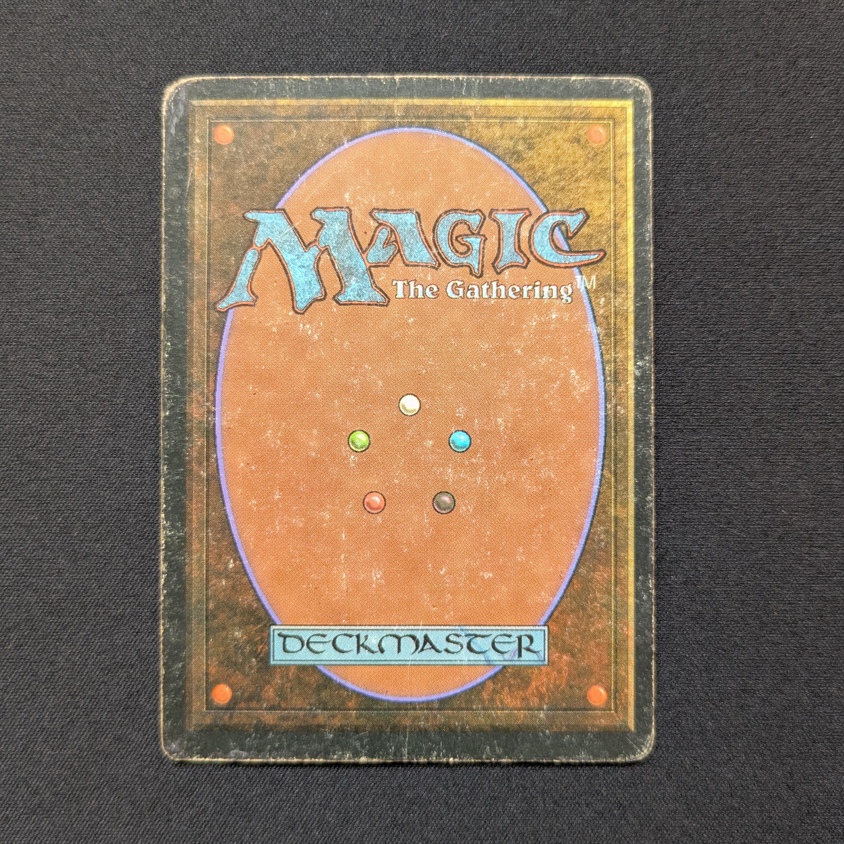 MTG Singles - Bayou - Foreign White Bordered -