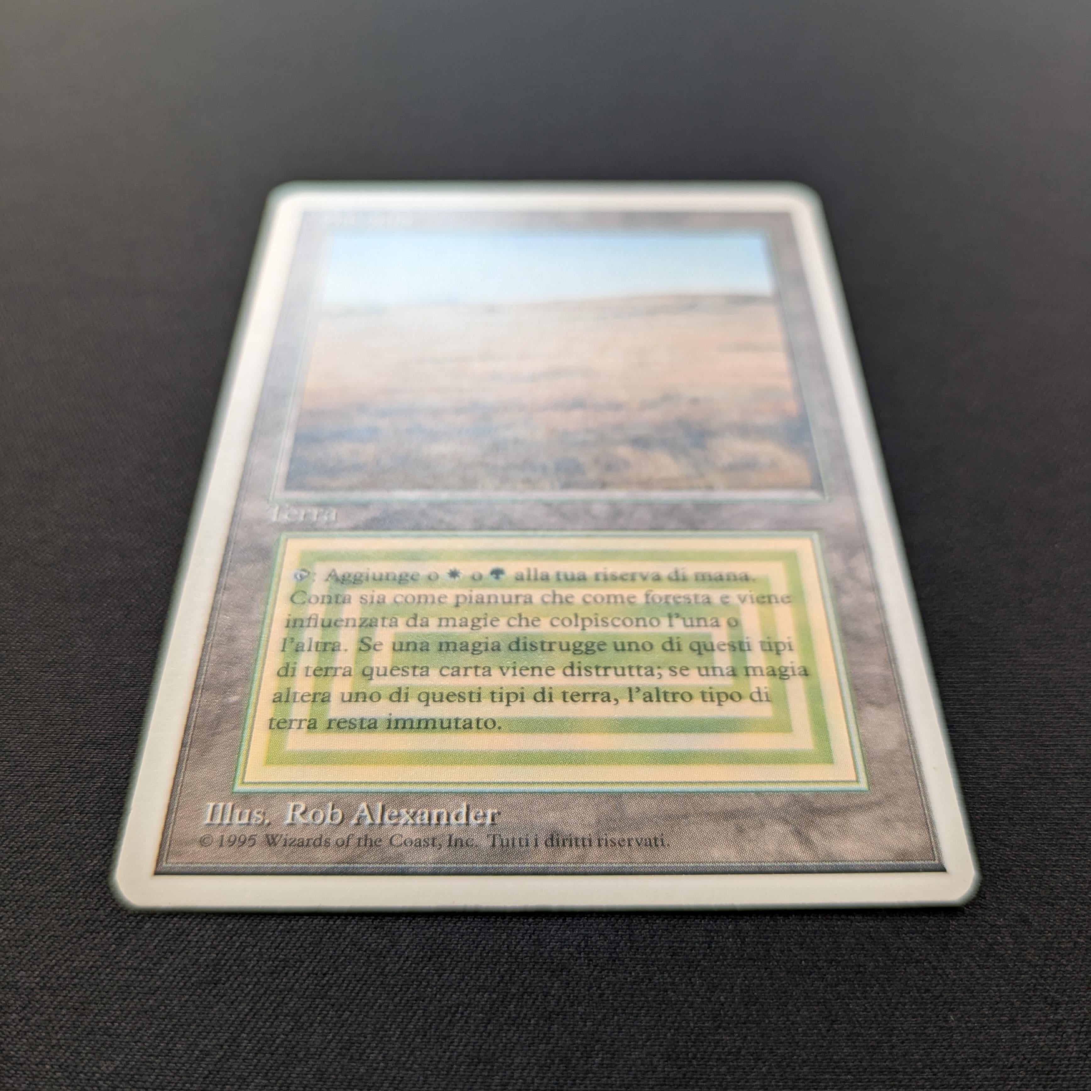 MTG Singles - Savannah - Foreign White Bordered -