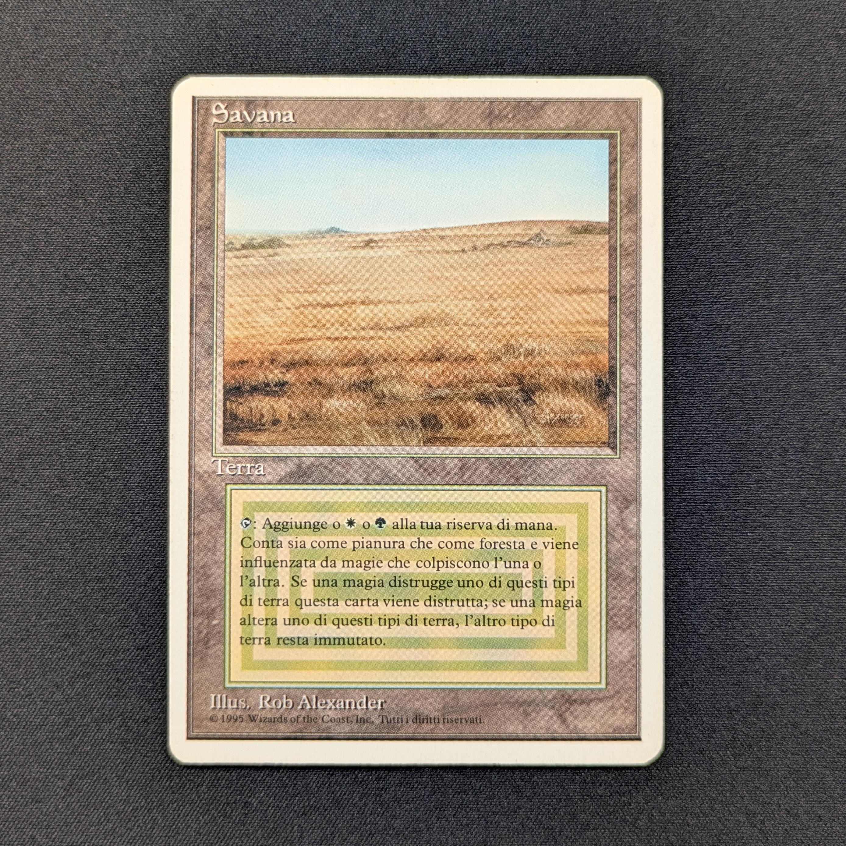 MTG Singles - Savannah - Foreign White Bordered -