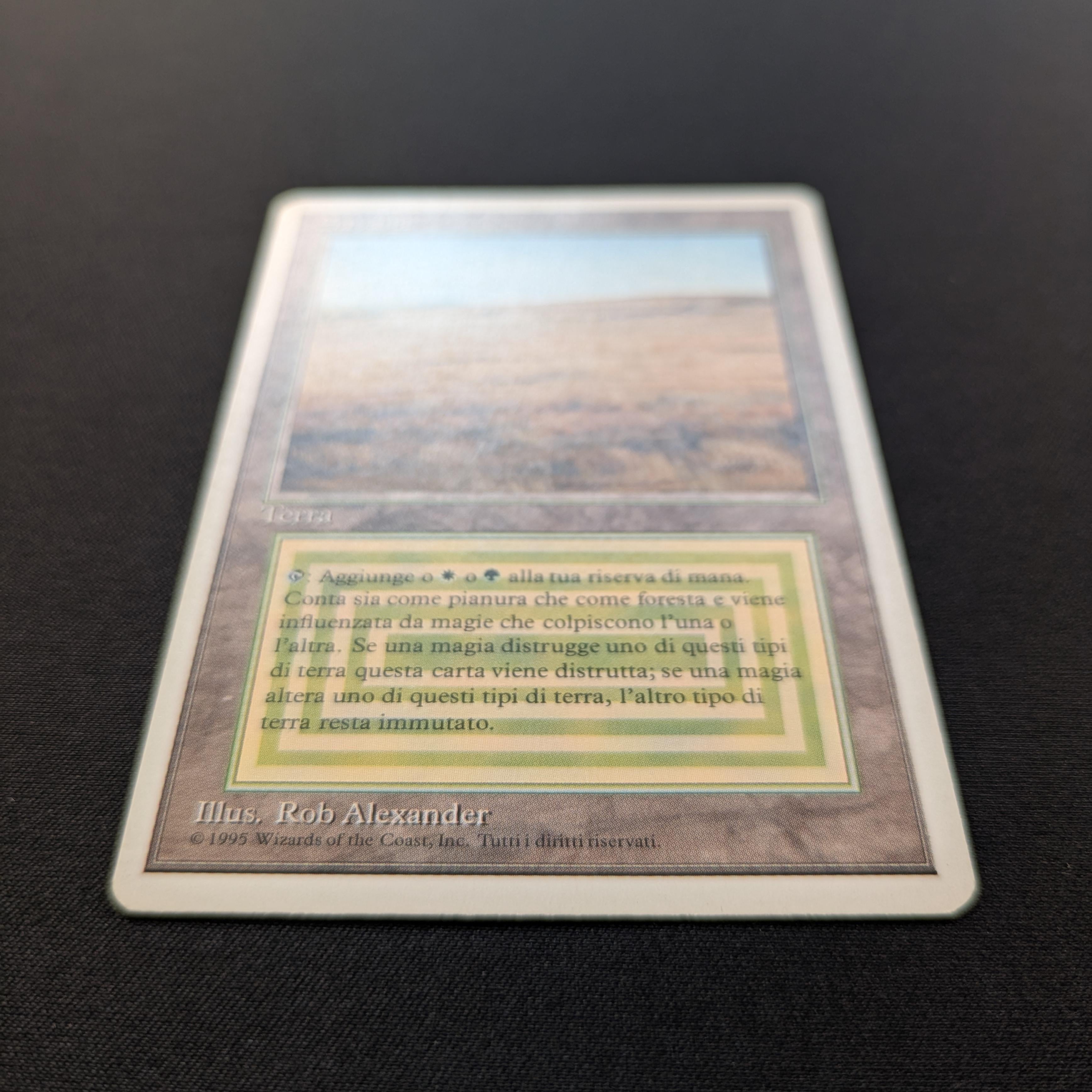 MTG Singles - Savannah - Foreign White Bordered -