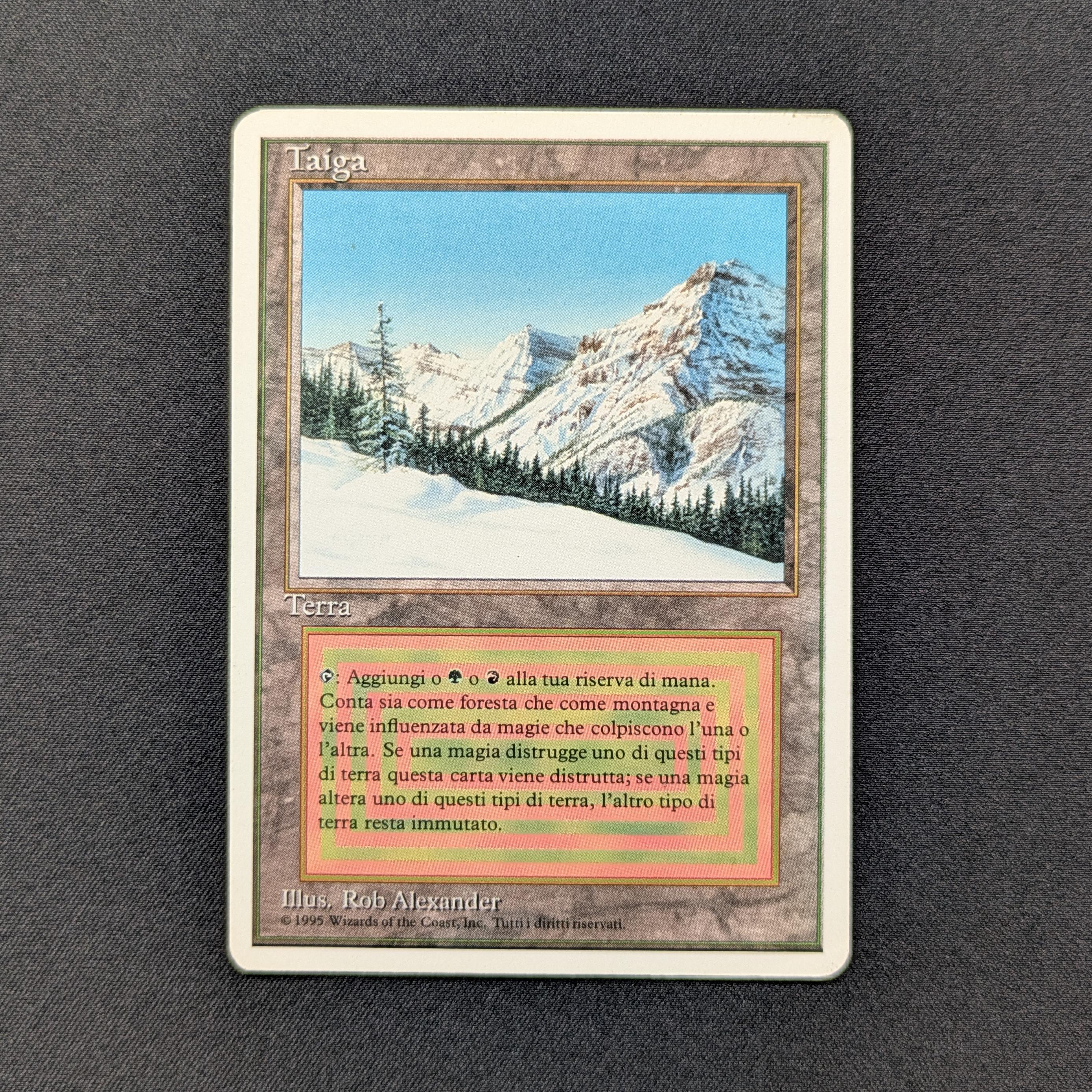 MTG Singles - Taiga - Foreign White Bordered -