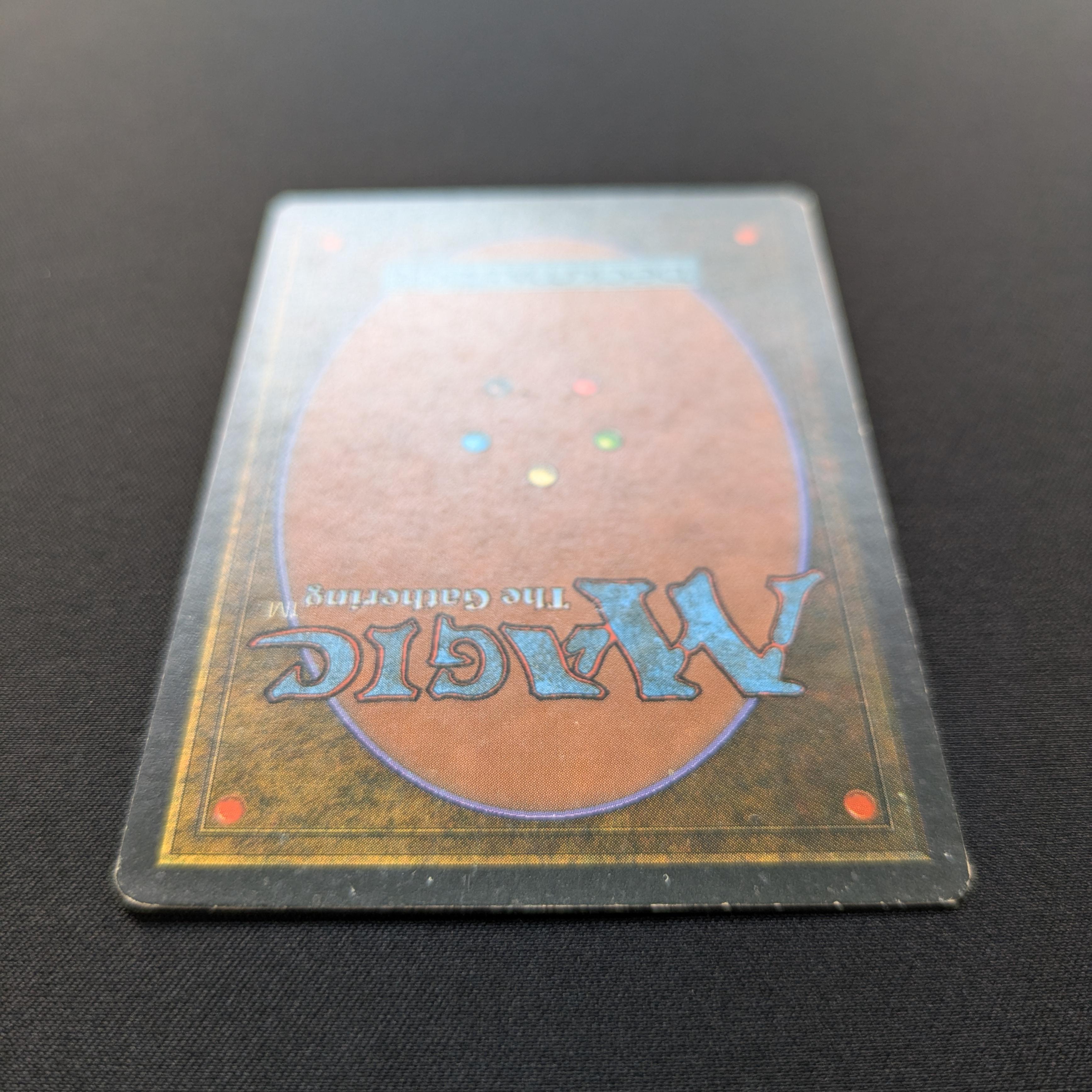 MTG Singles - Taiga - Foreign White Bordered -