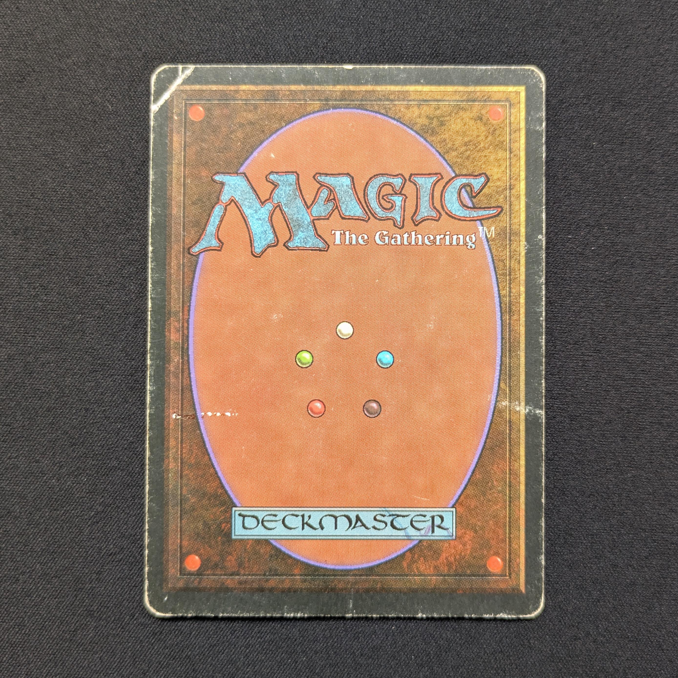MTG Singles - Tundra - Foreign White Bordered -