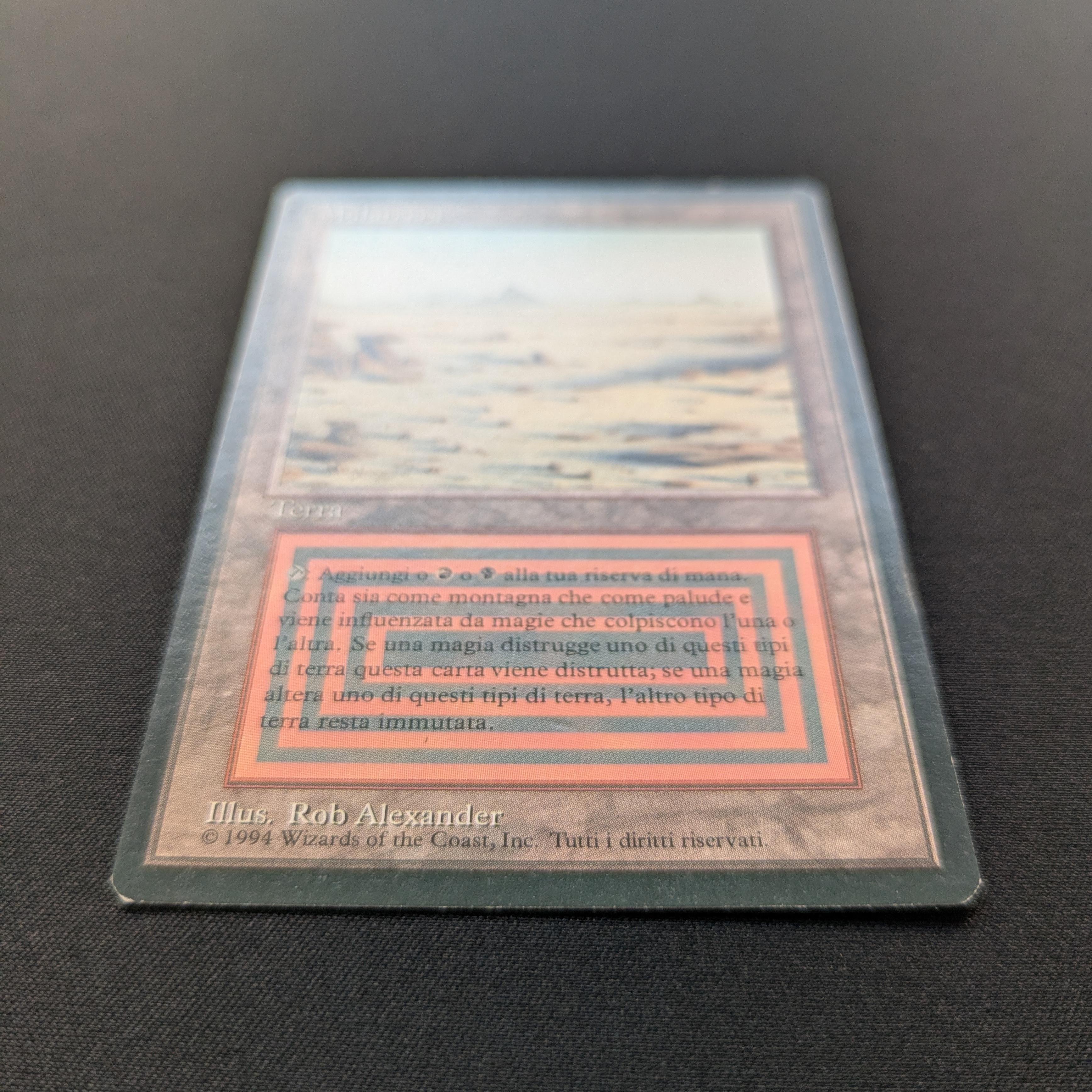 MTG Singles - Badlands - Foreign Black Bordered -