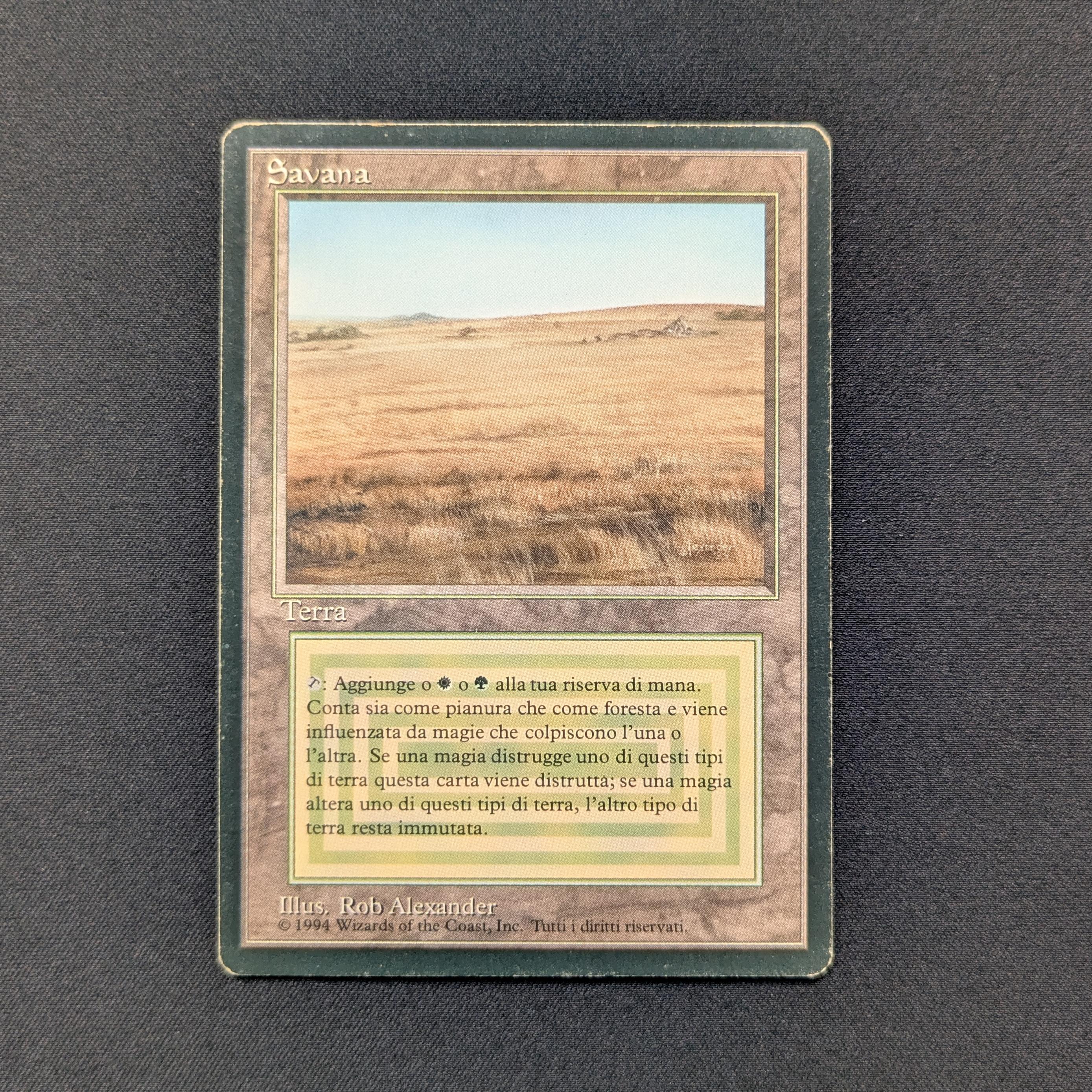 MTG Singles - Savannah - Foreign Black Bordered -