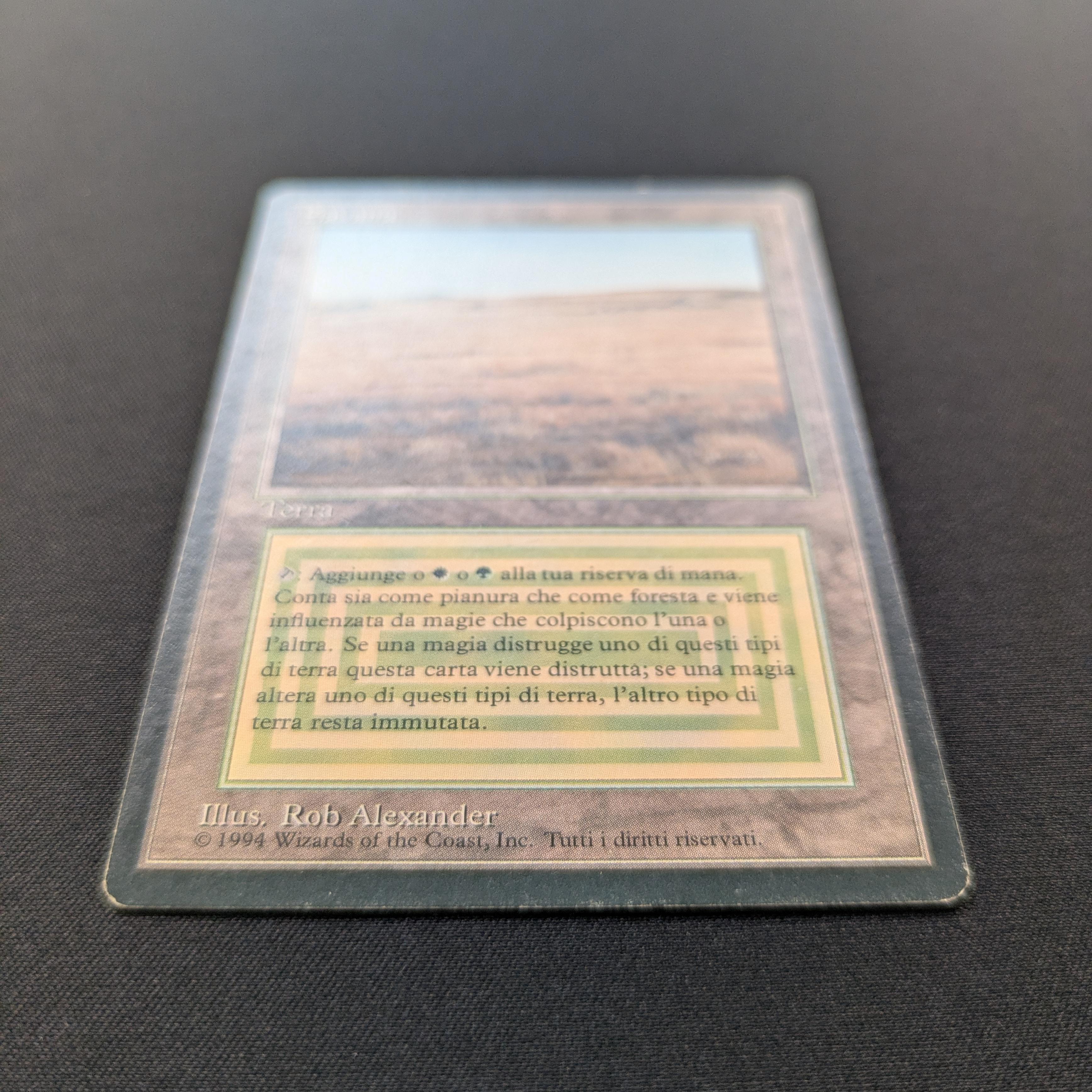 MTG Singles - Savannah - Foreign Black Bordered -
