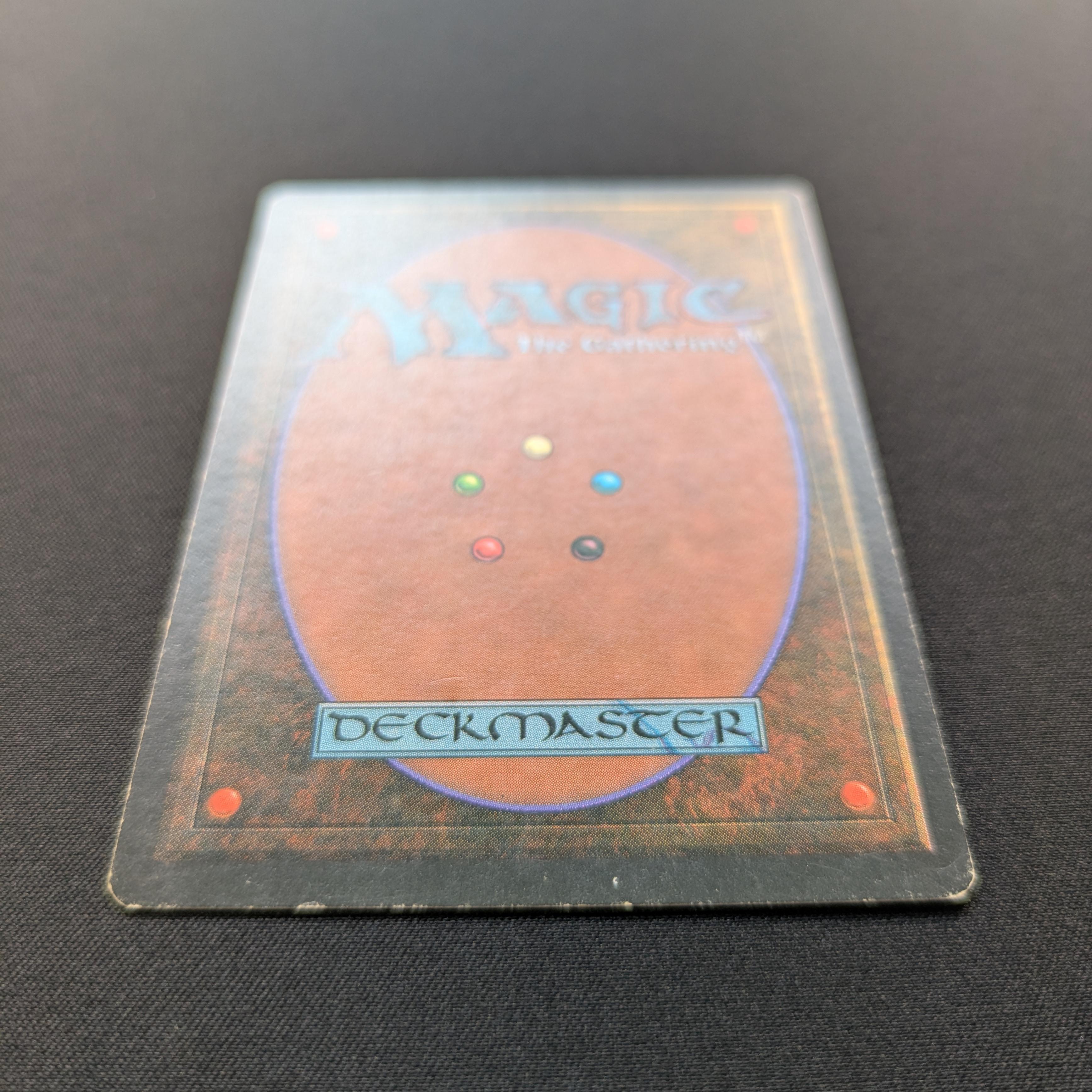 MTG Singles - Savannah - Foreign Black Bordered -