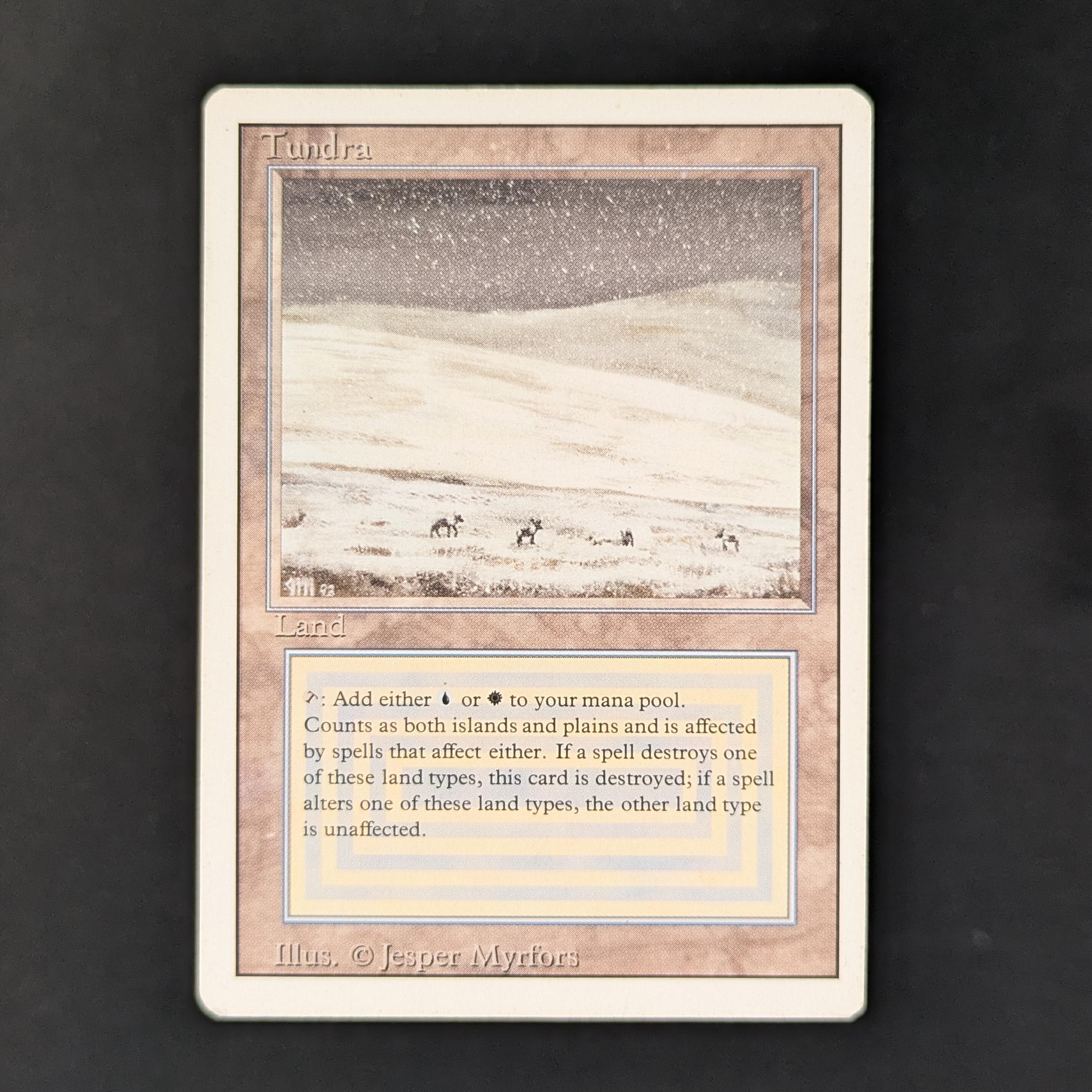 MTG Singles - Tundra - Revised -