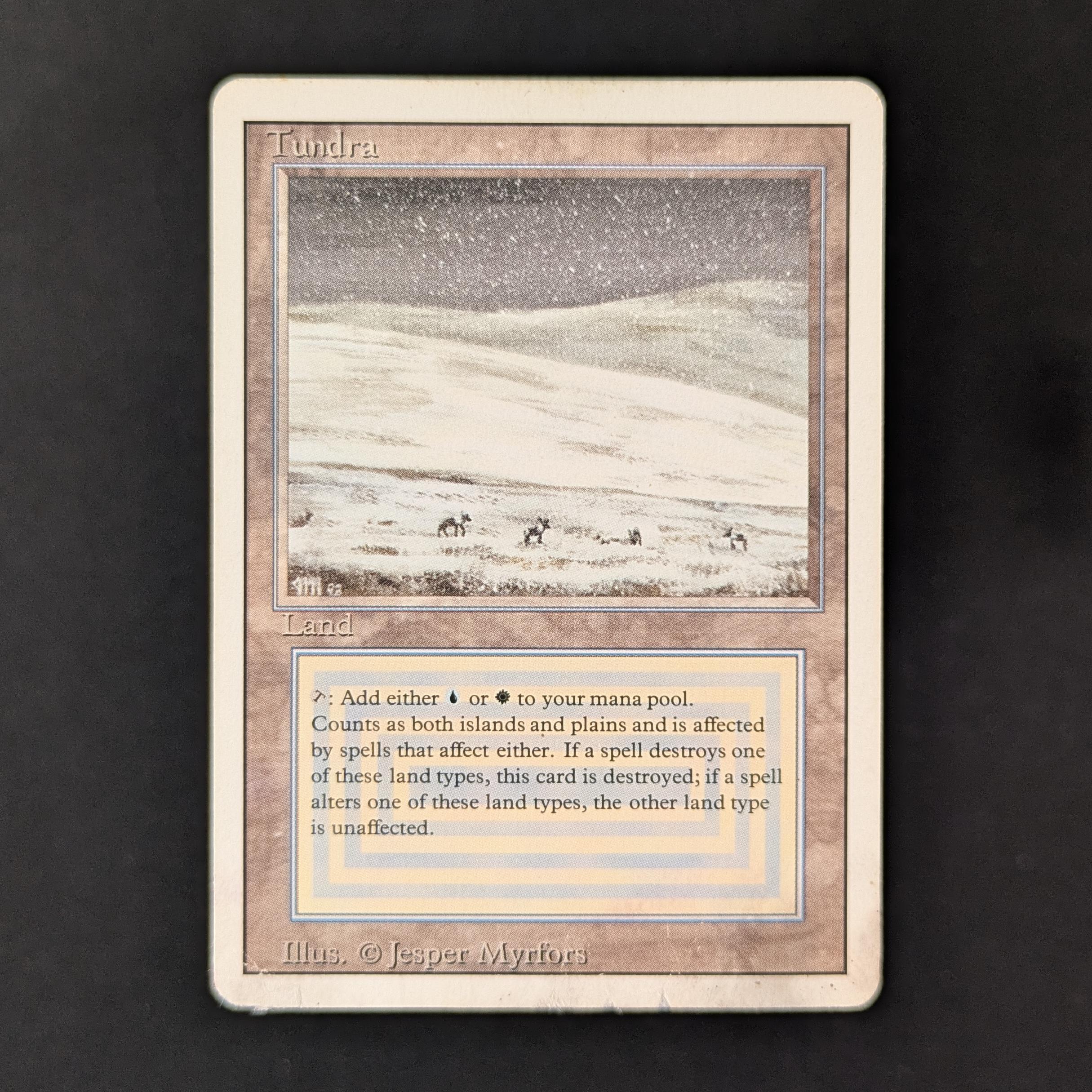 MTG Singles - Tundra - Revised -