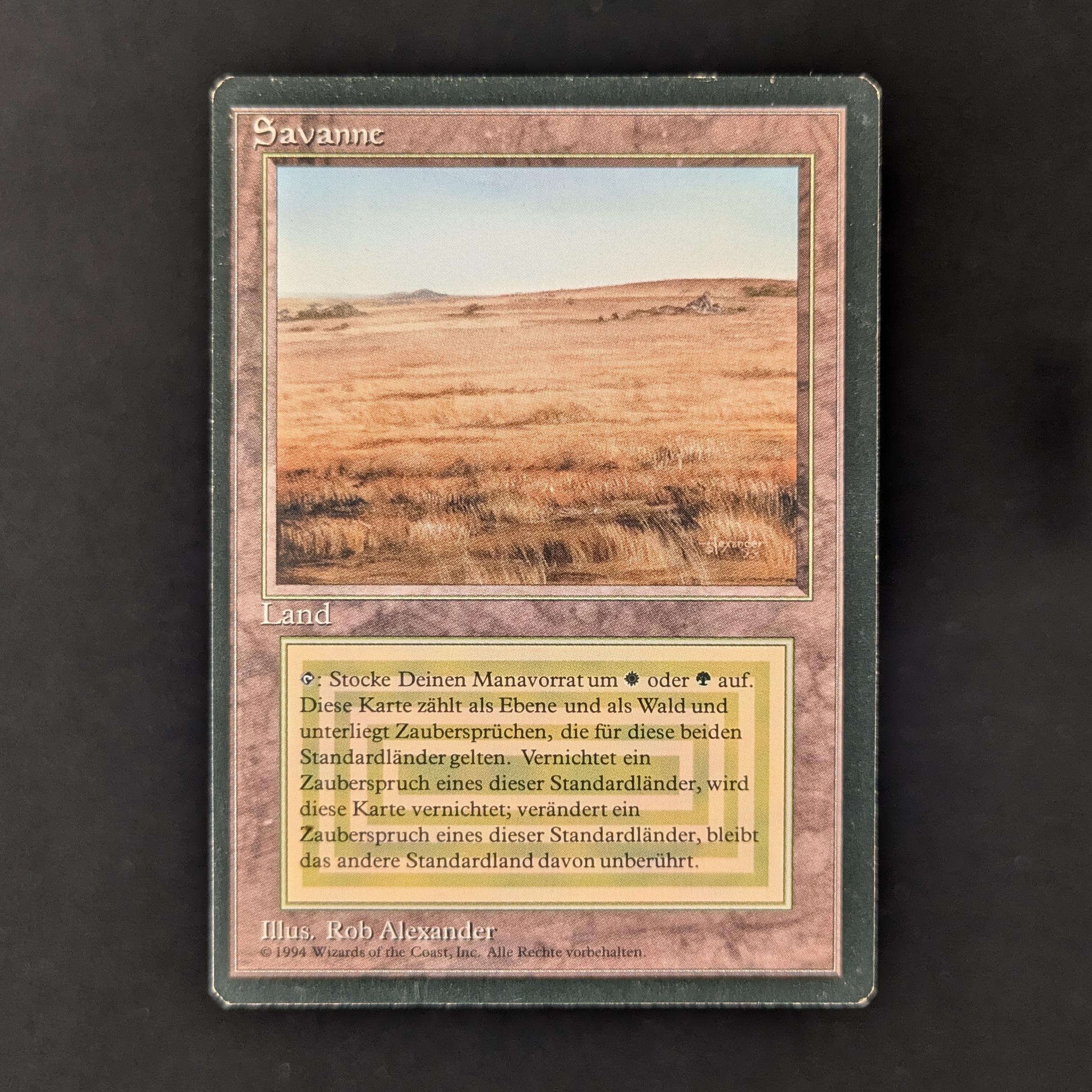 MTG Singles - Savannah - Foreign Black Bordered -