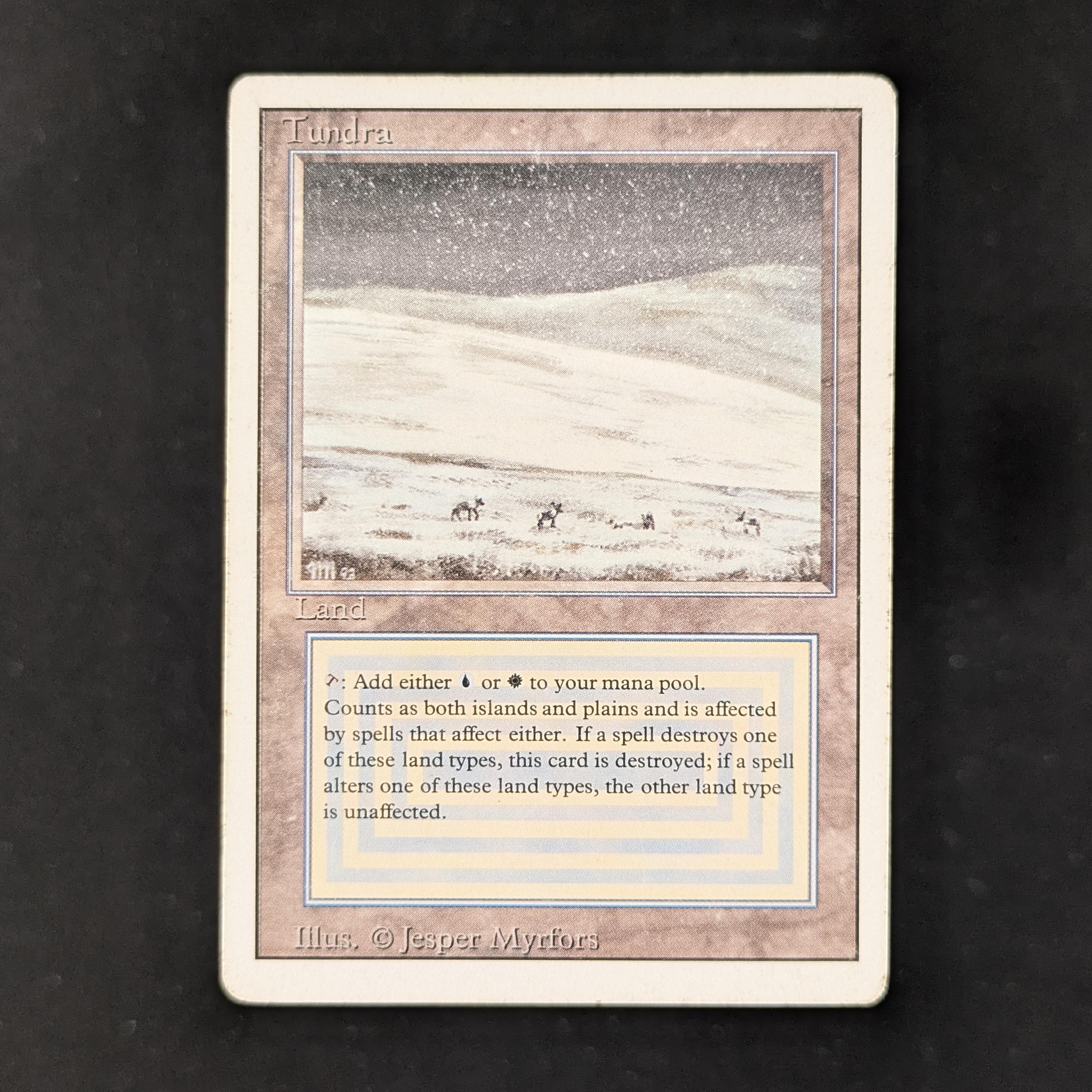 MTG Singles - Tundra - Revised - PO - 29937