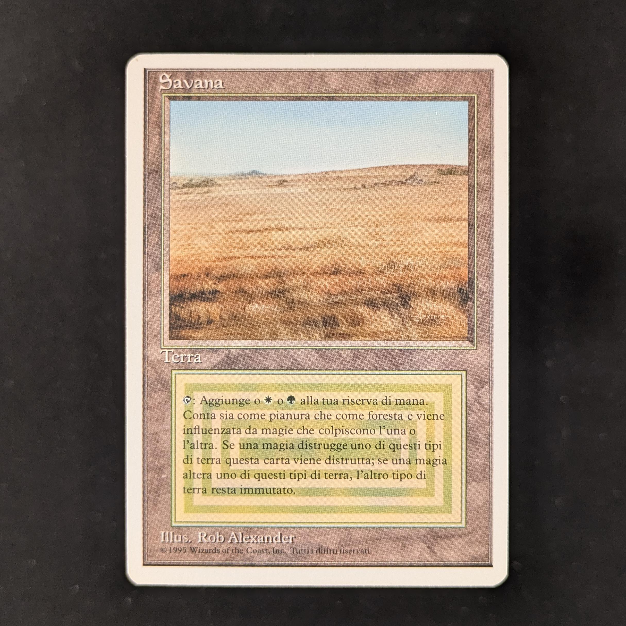 MTG Singles - Savannah - Foreign White Bordered - Italian - NM - 29959