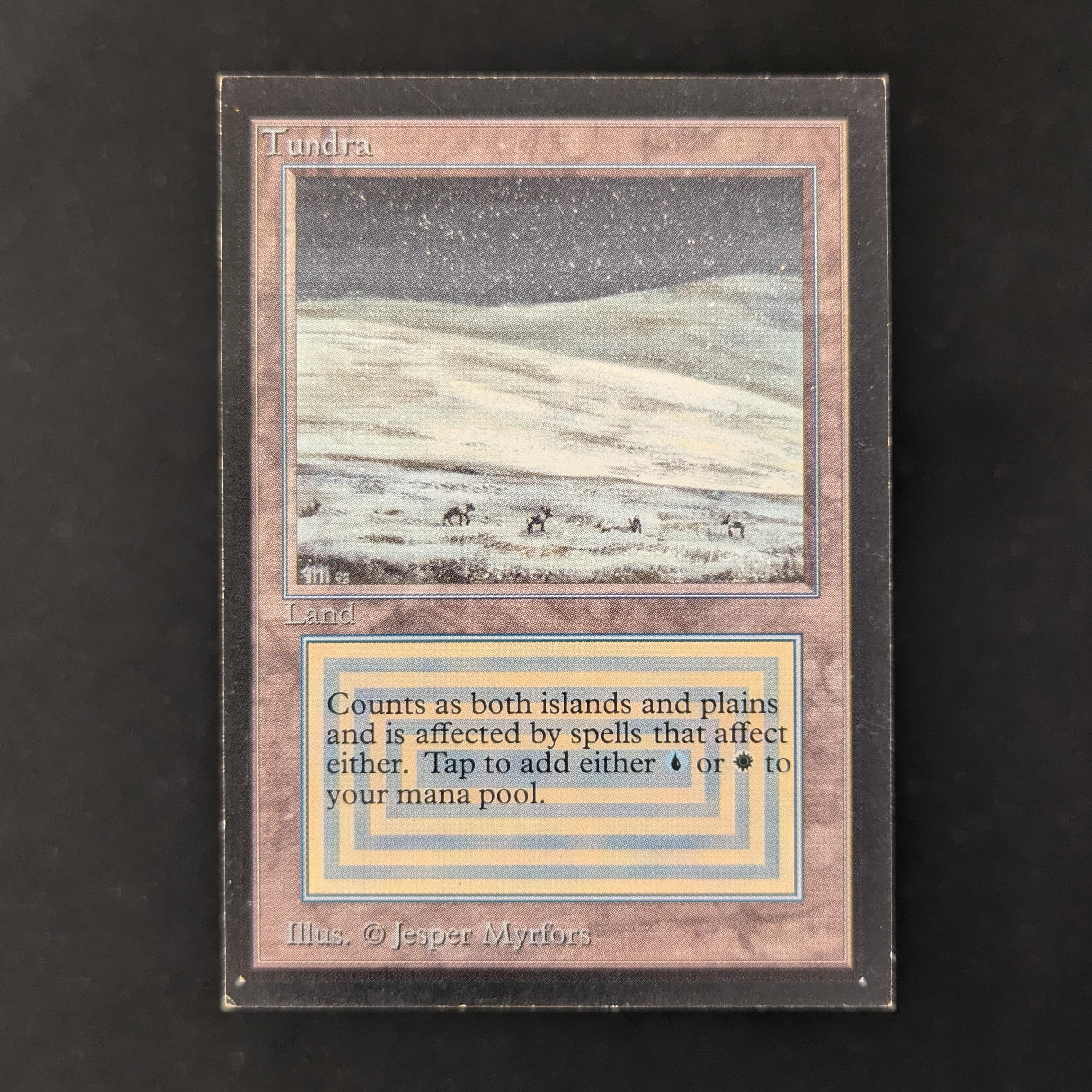 MTG Singles - Tundra - Collectors' Edition - LP - 30185