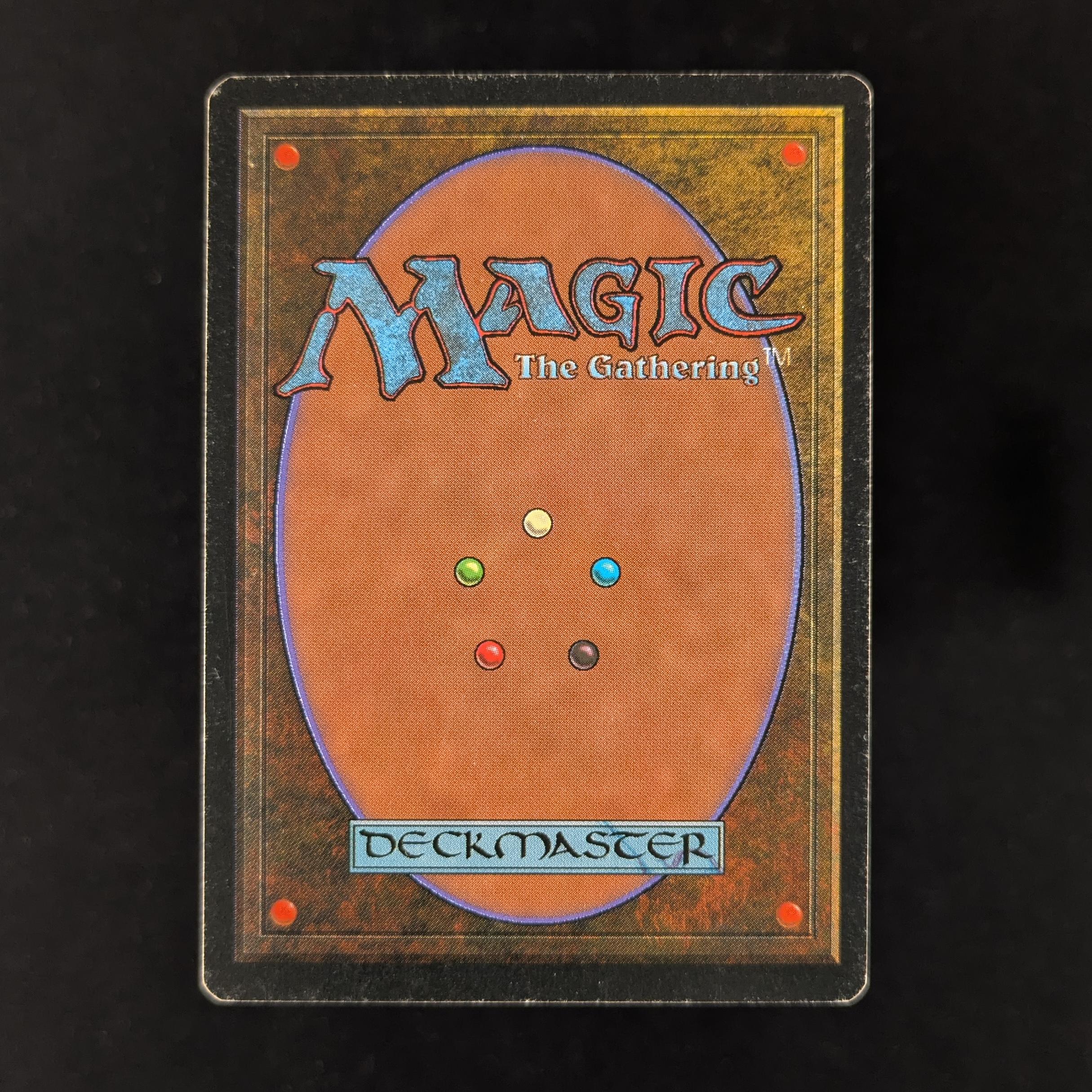 MTG Singles - Savannah - Foreign Black Bordered -
