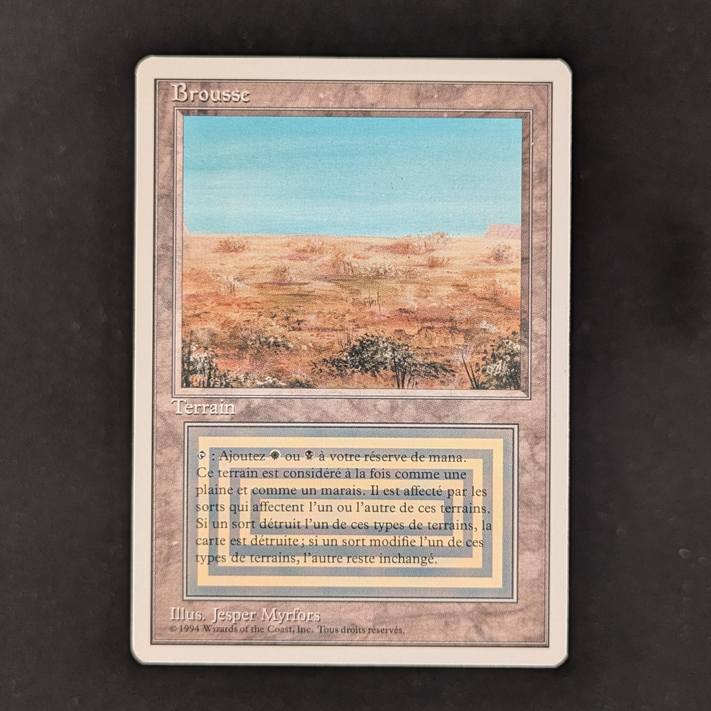 MTG Singles - Scrubland - Foreign White Bordered - French - EX - 30886