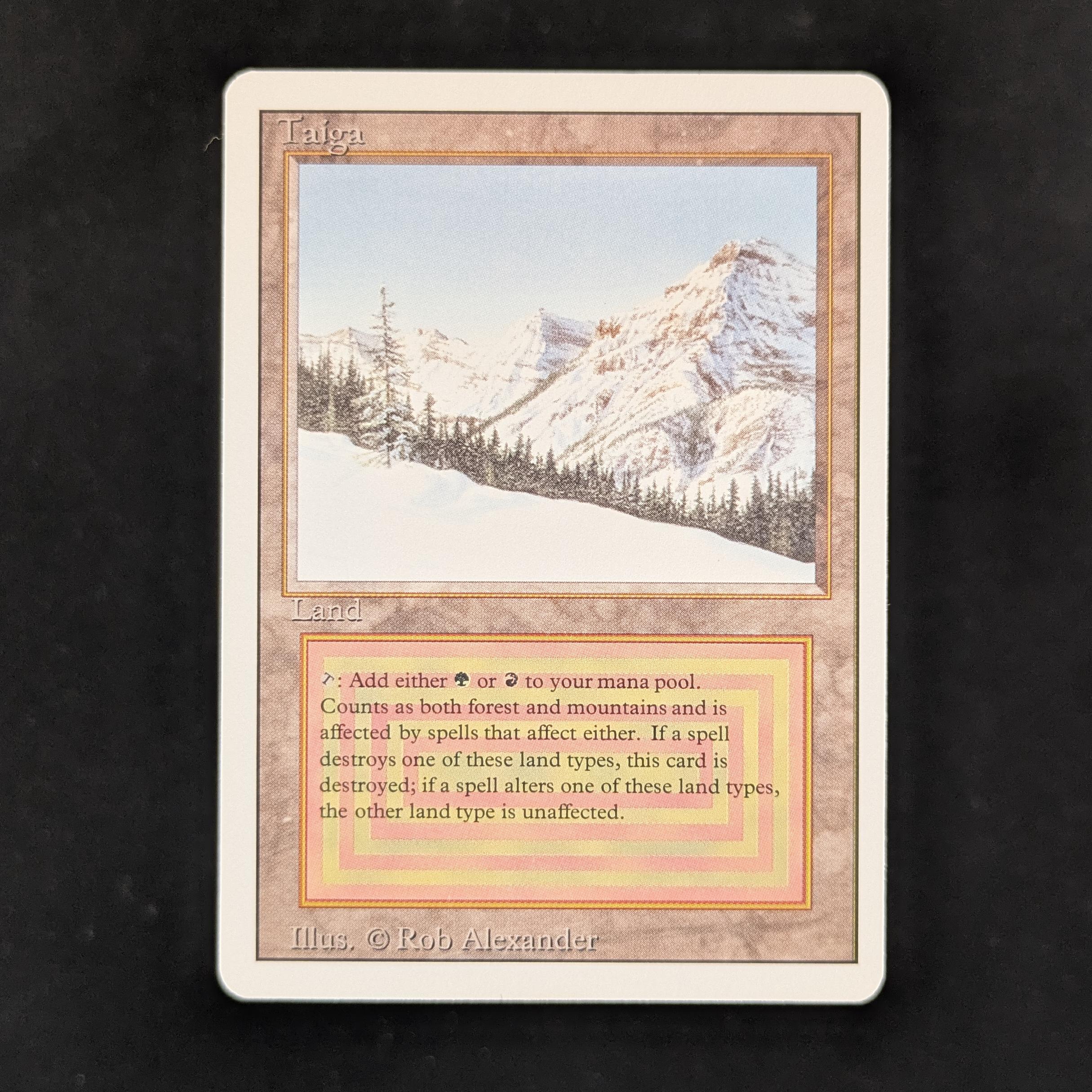 MTG Singles - Taiga - Revised - NM - 31143