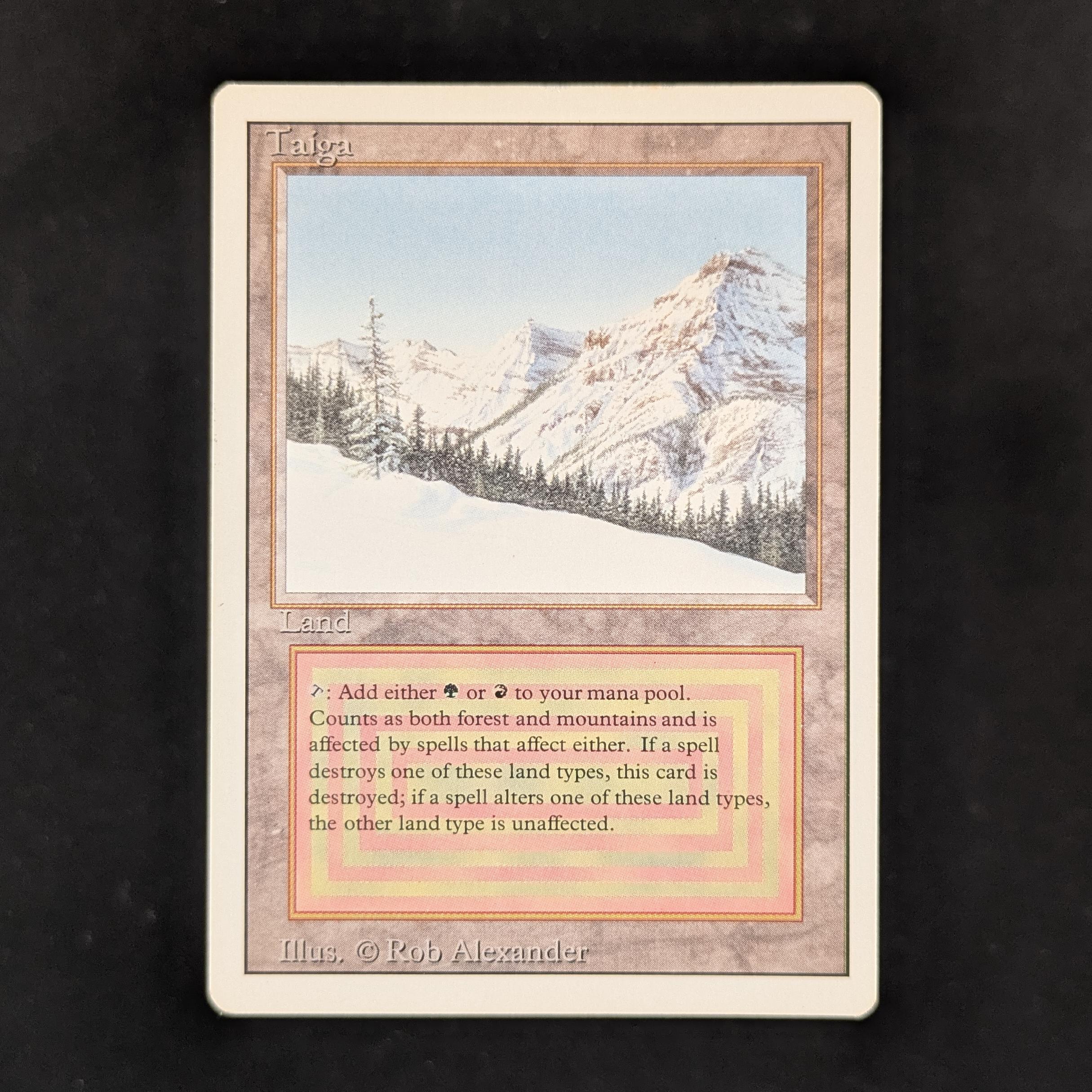 MTG Singles - Taiga - Revised - GD - 31144