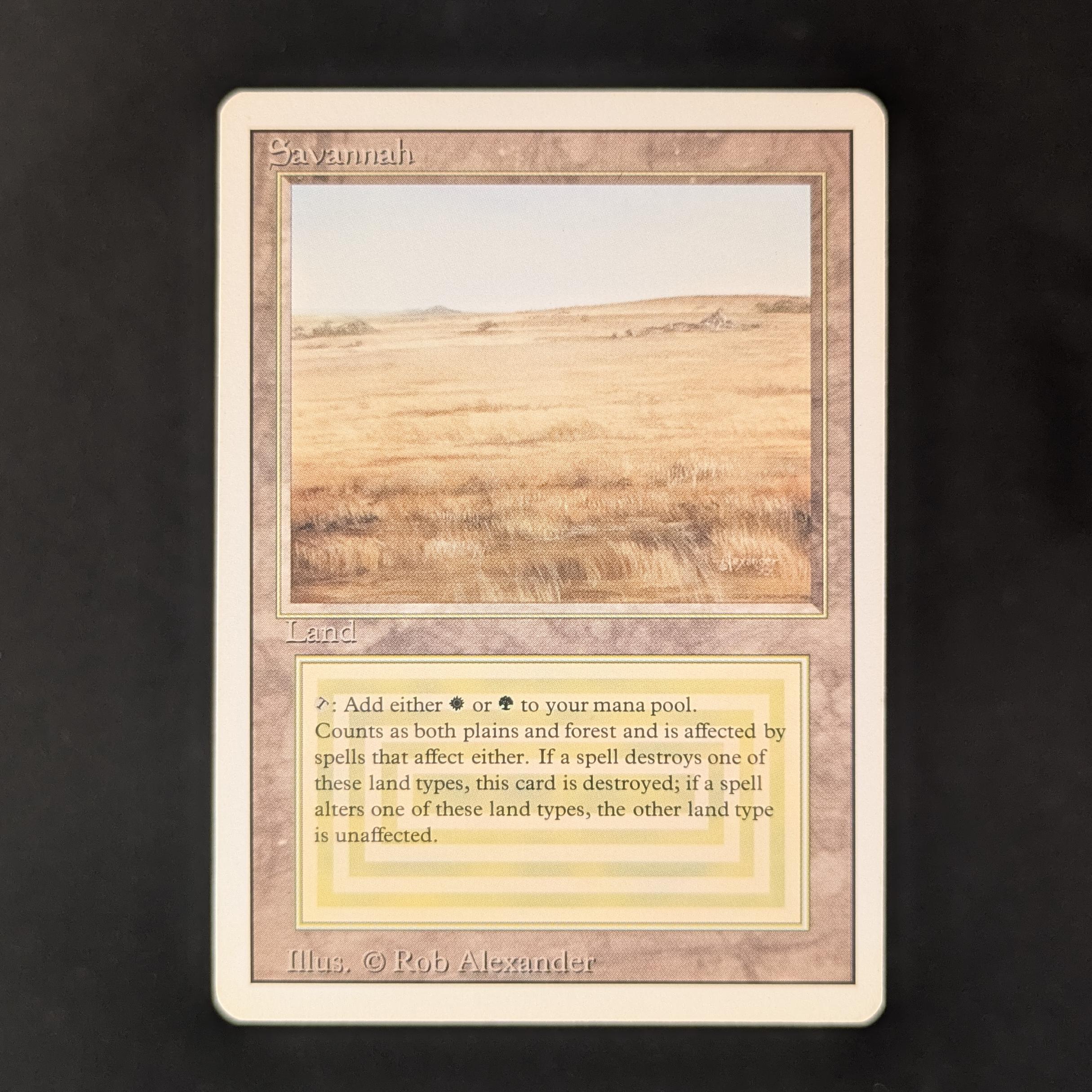 MTG Singles - Savannah - Revised - GD - 31271