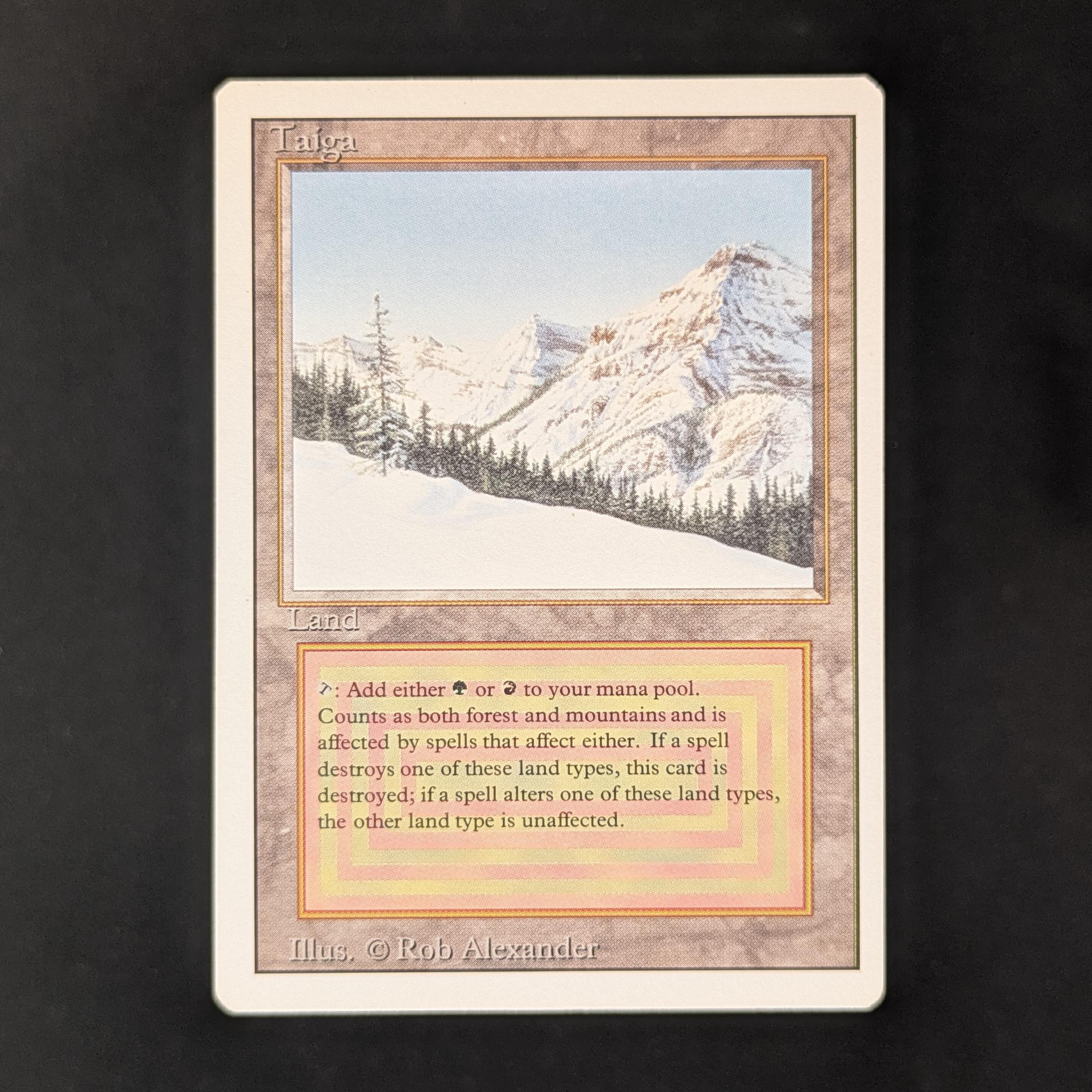 MTG Singles - Taiga - Revised - GD - 31287