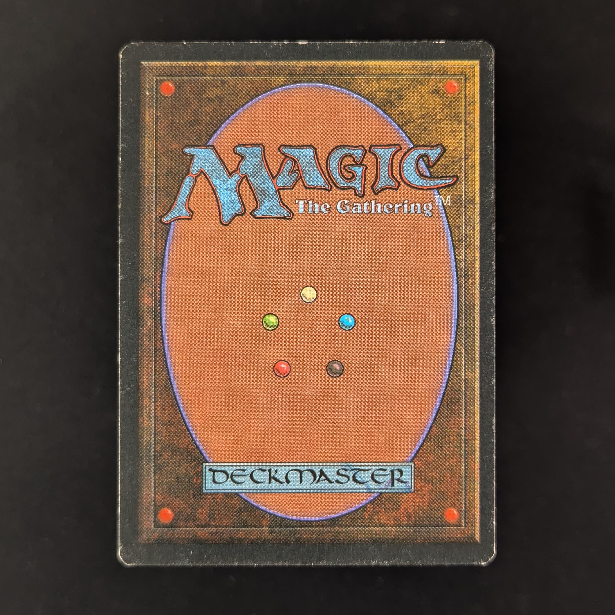 MTG Singles - Savannah - Foreign Black Bordered -